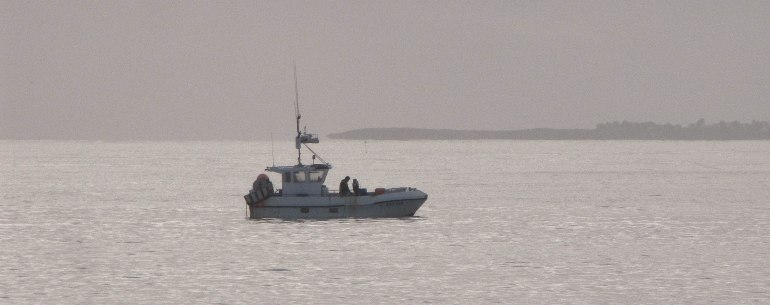p'tite pêche matinale Baie de quiberon 5.jpg