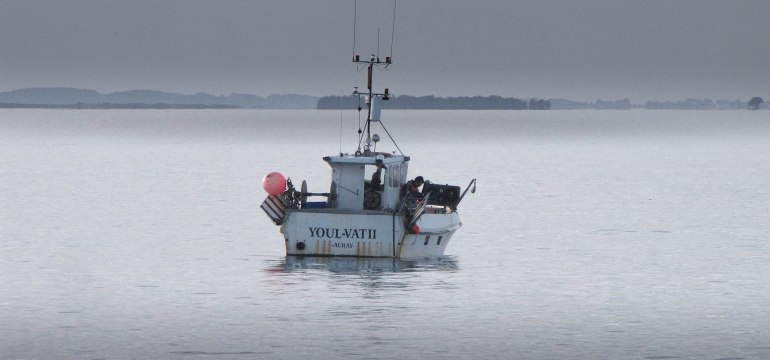 p'tite pêche matinale Baie de quiberon 7