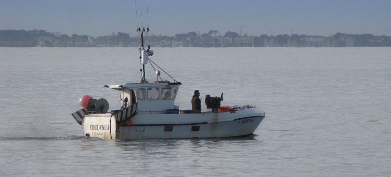 p'tite pêche matinale Baie de quiberon 8