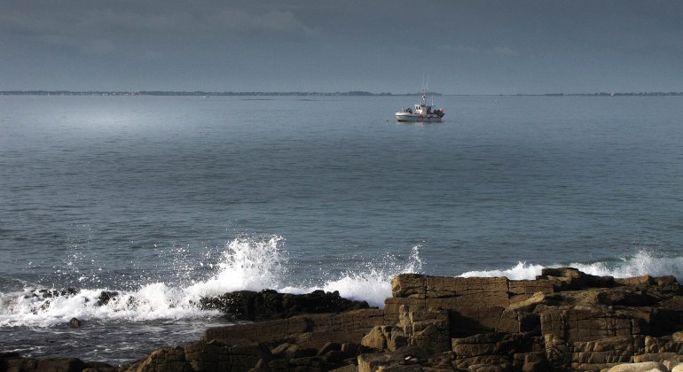 p'tite pêche matinale Baie de quiberon.jpg