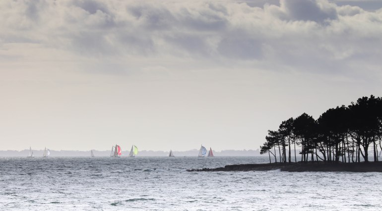 voiliers derrière les pins 2' , 3 mars 18