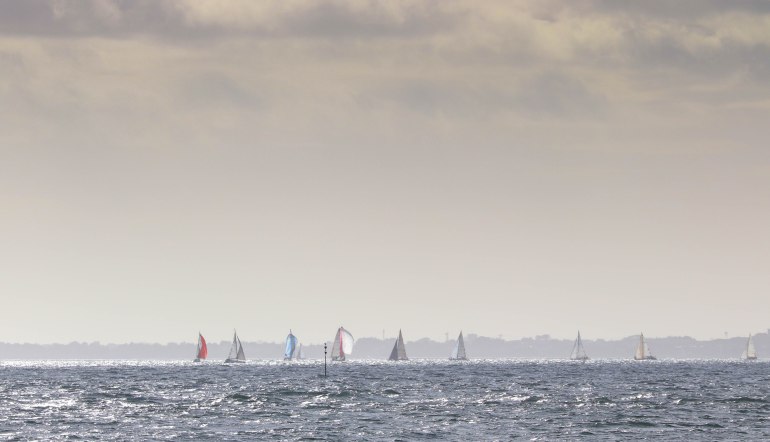 voiliers derrière les pins 4, 3 mars 18