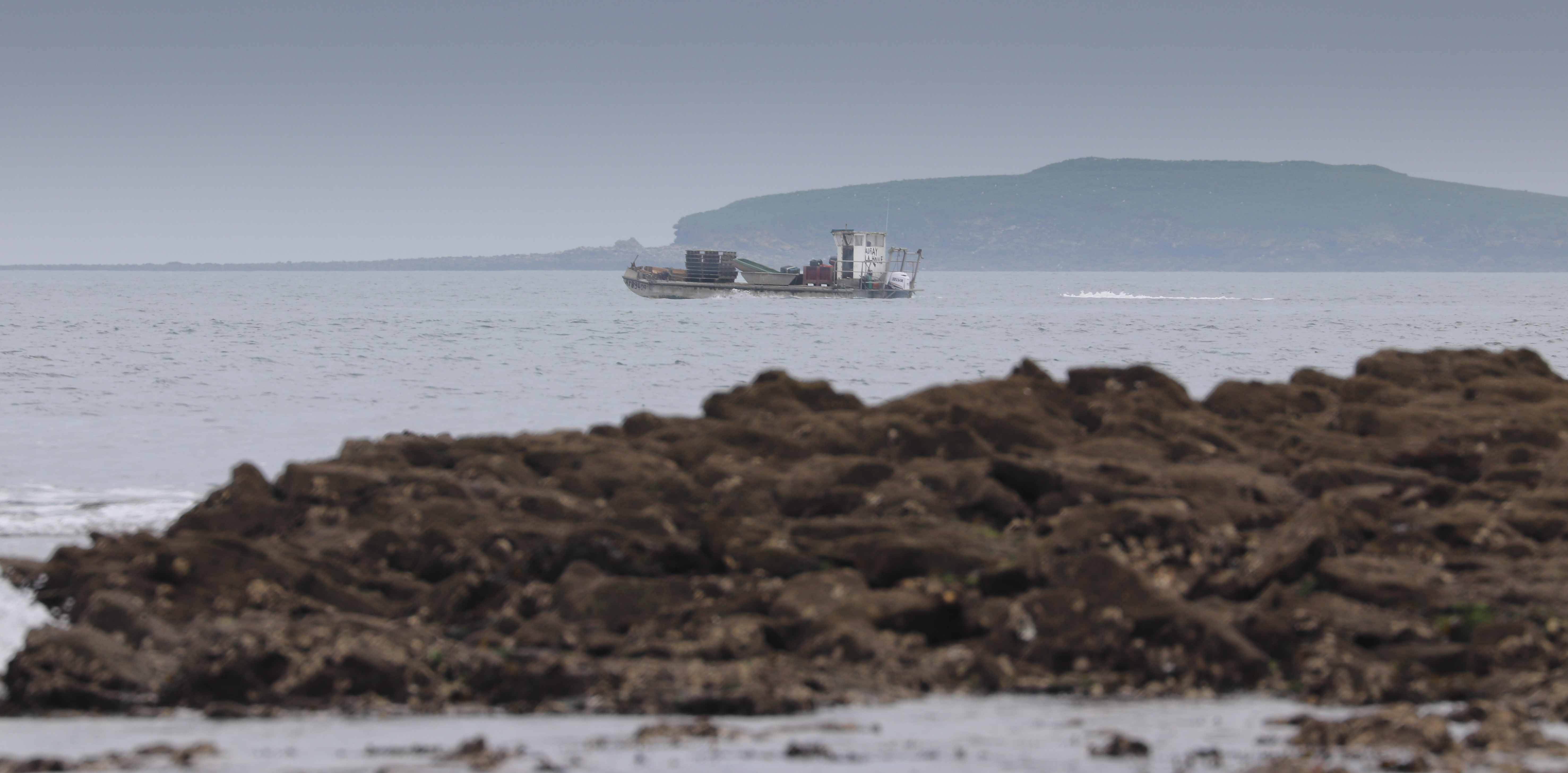 barge la Houle devant Méaban, Locmariaquer,  9 avril 18 (1 sur 1).jpg