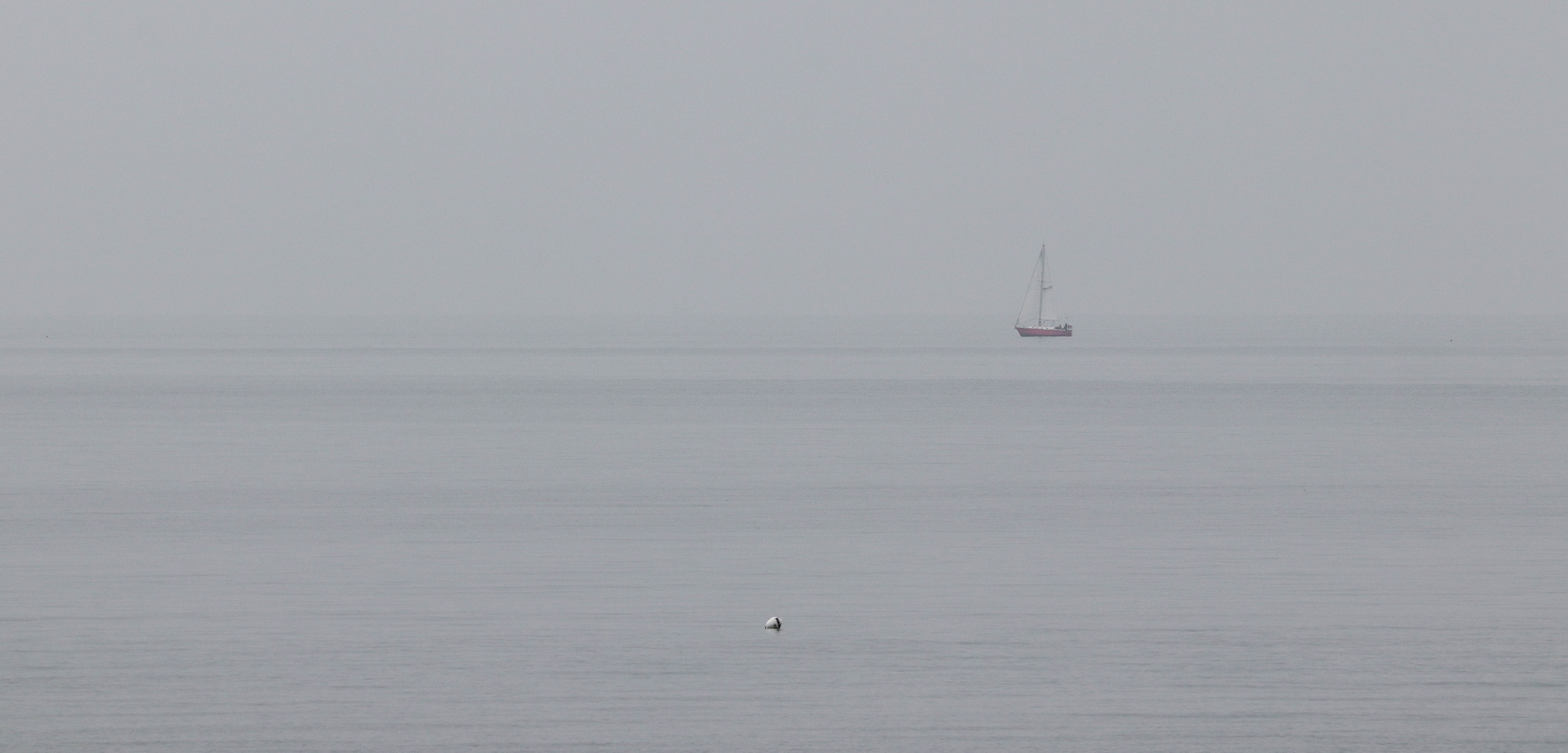 la pêche au cormoran zen breton 5, Pointe er Hourèl, 13 avril 18 (1 sur 1).jpg
