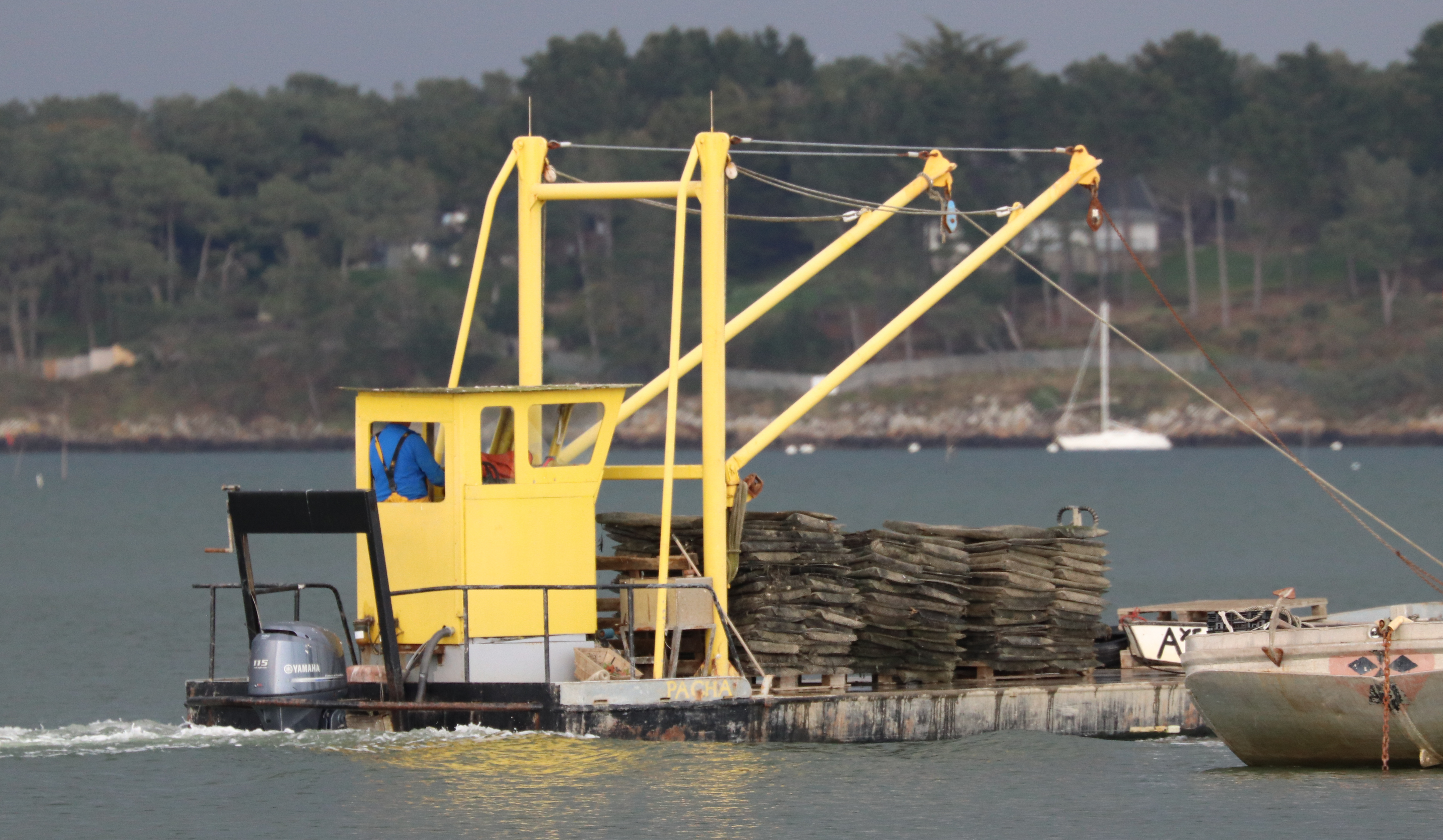 le Pacha 5, rivière d'auray, 12 avril 18  (1 sur 1).jpg