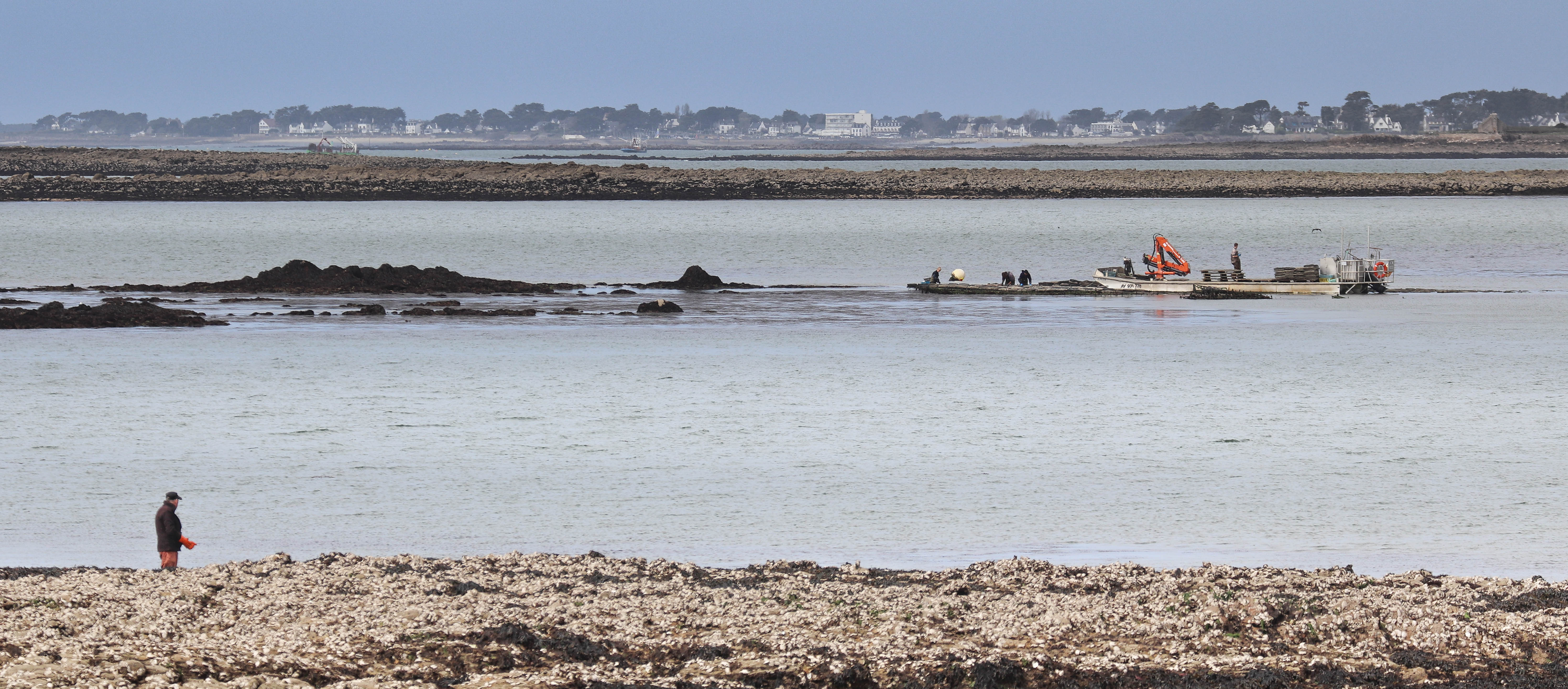 les travailleurs dans la mer 6, 16 avril 18 (1 sur 1).jpg