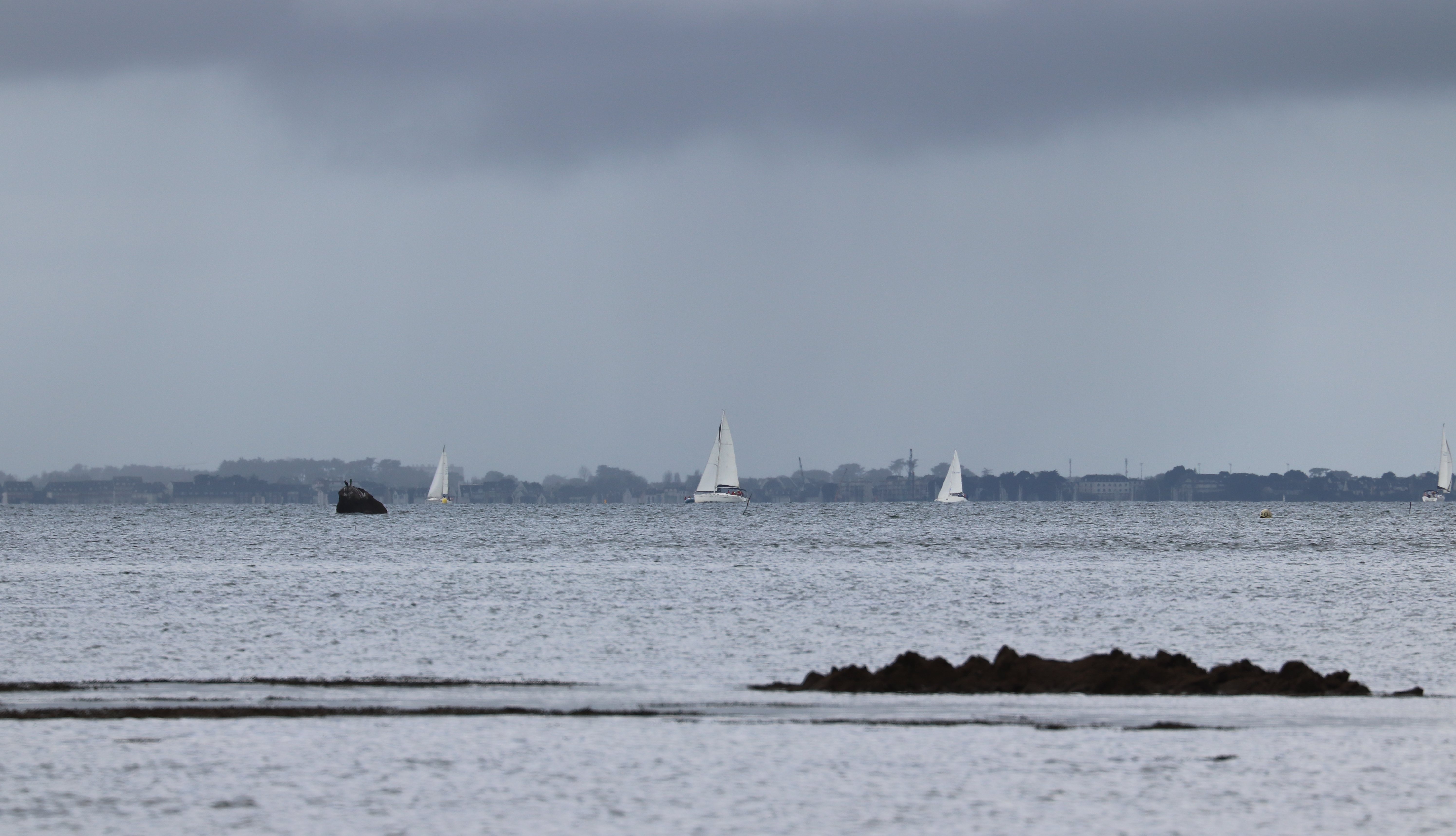 midi - sortie 4, st pierre, 10 avril 18 (1 sur 1).jpg