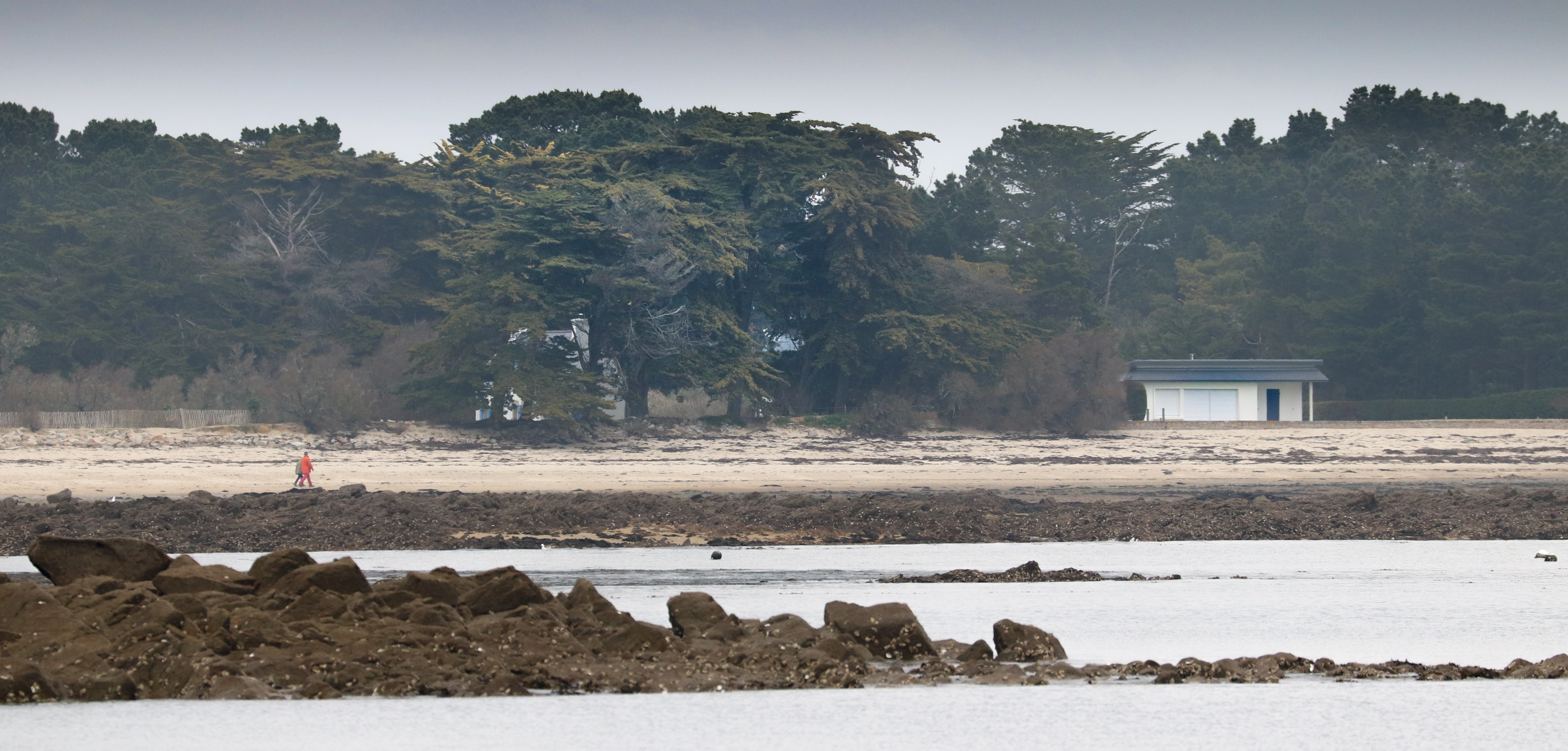 Nous aurions une maison sur la plage..., 9 avril 18 (1 sur 1).jpg