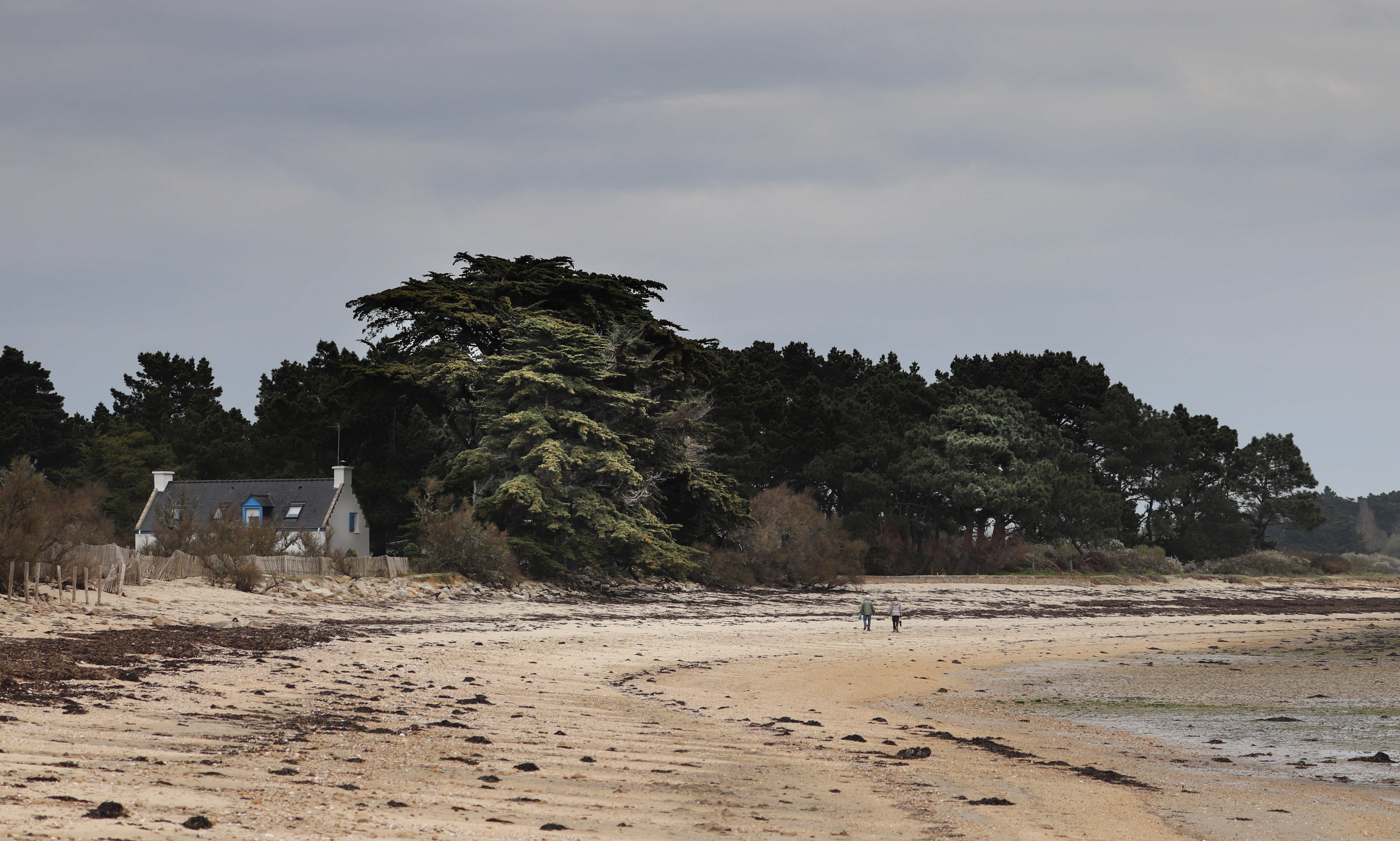 on aurait une maison 4, brennegi,  9 avril 18 (1 sur 1).jpg