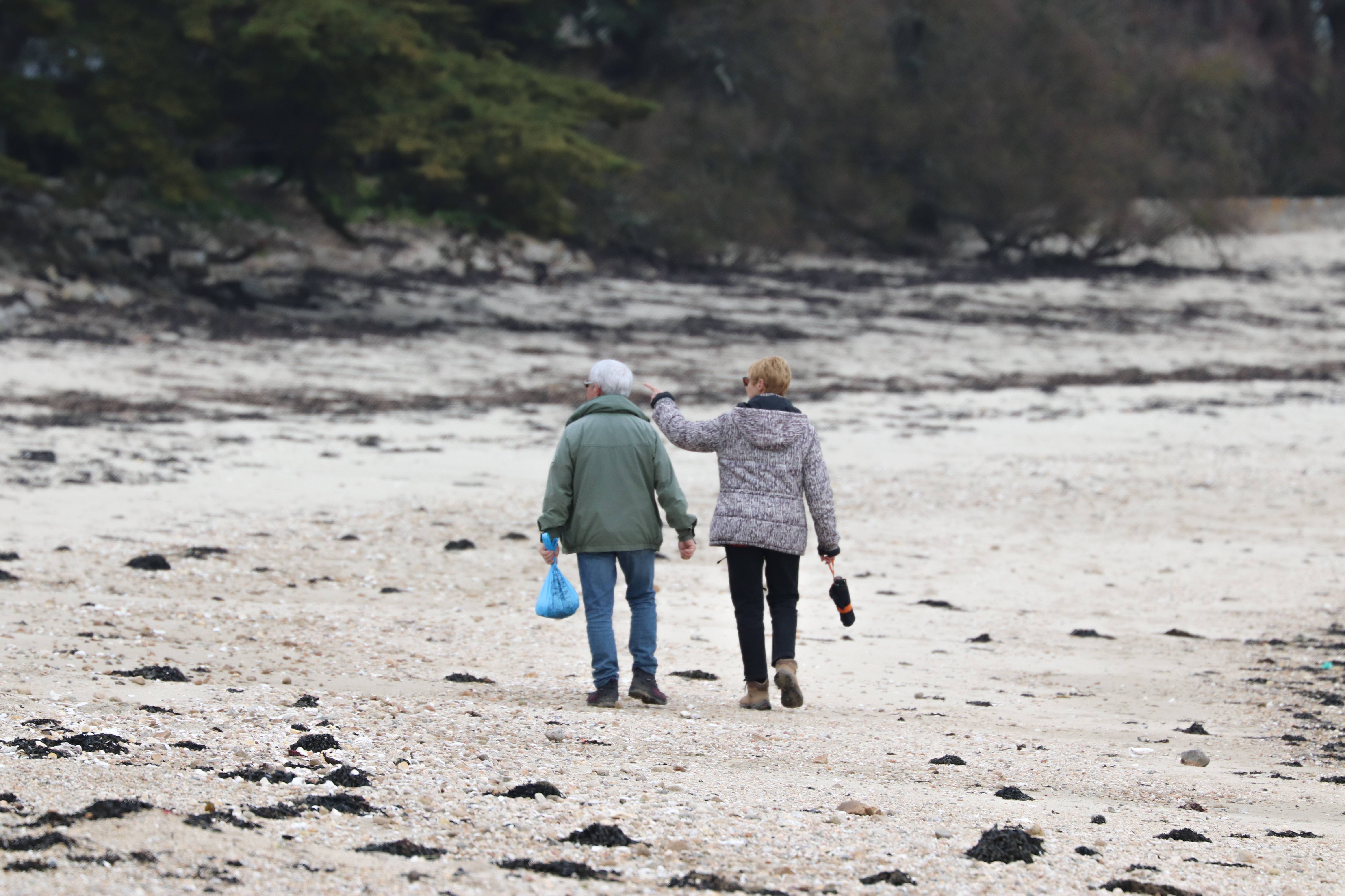 on aurait une maison 6, brennegi,  9 avril 18 (1 sur 1).jpg