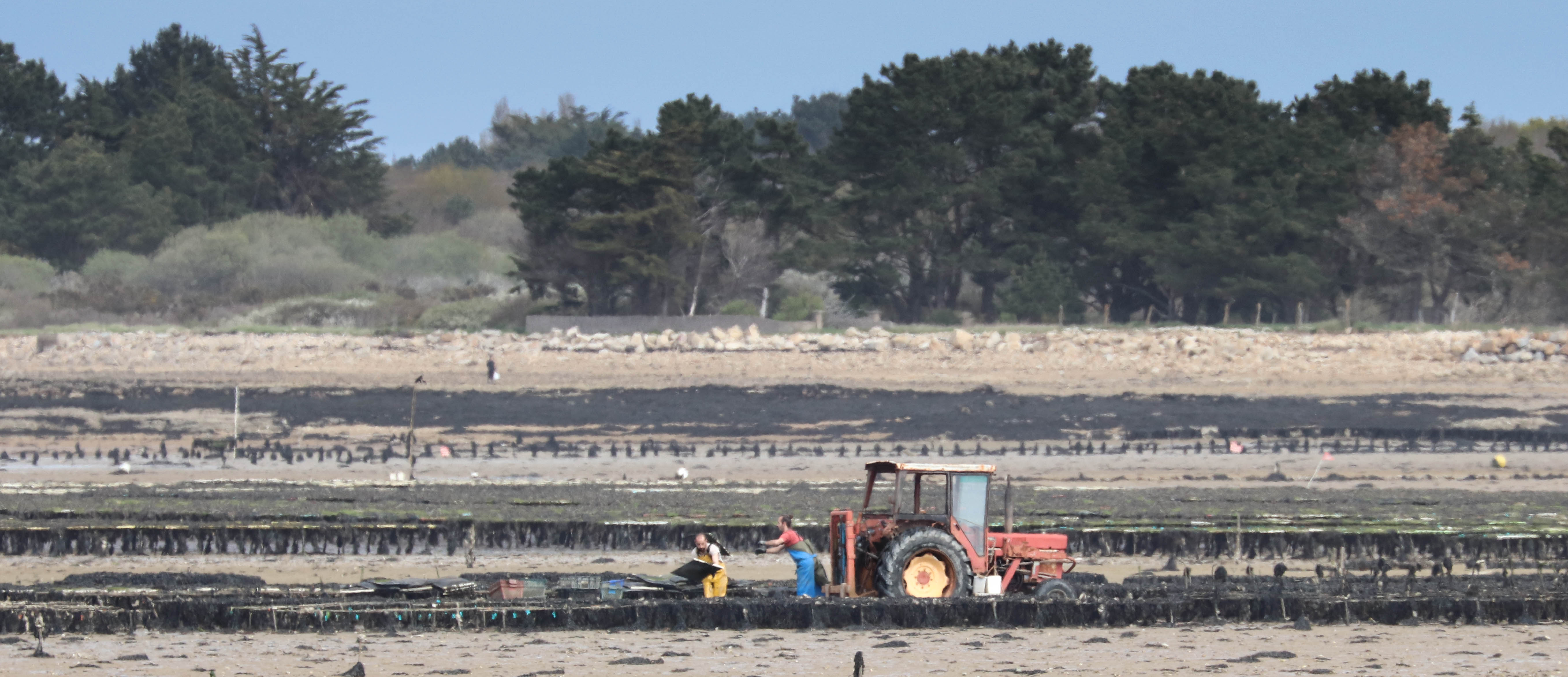 paysans du littoral 5, 16 avril 18 (2 sur 2).jpg