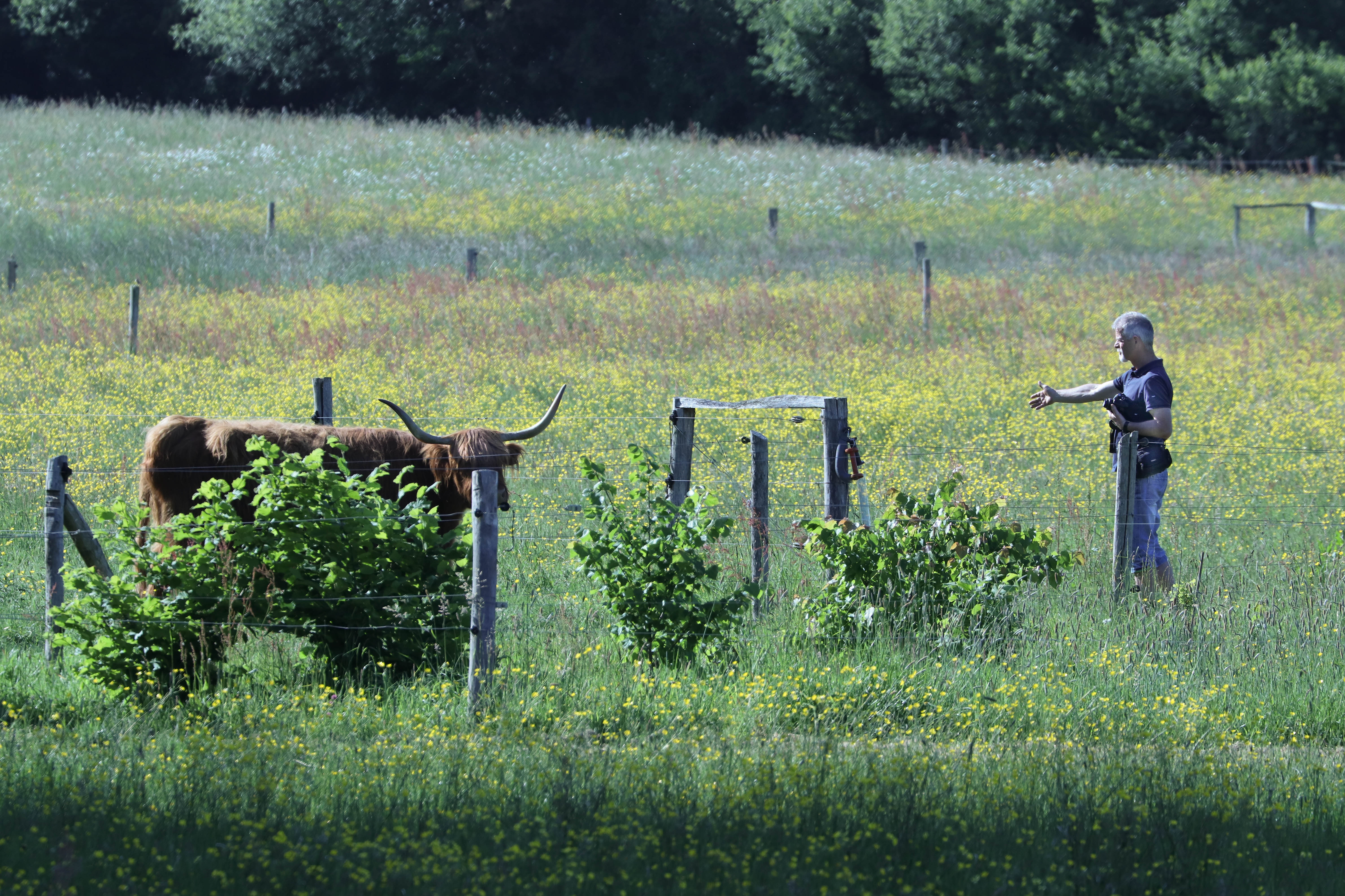 au château des pères, piré sur seiche, 20 mai 18 (1 sur 1).jpg