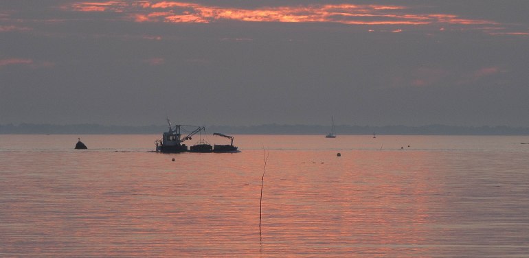 barge rentrant au sor à st philibert , 2 nov 17 (1 sur 1)