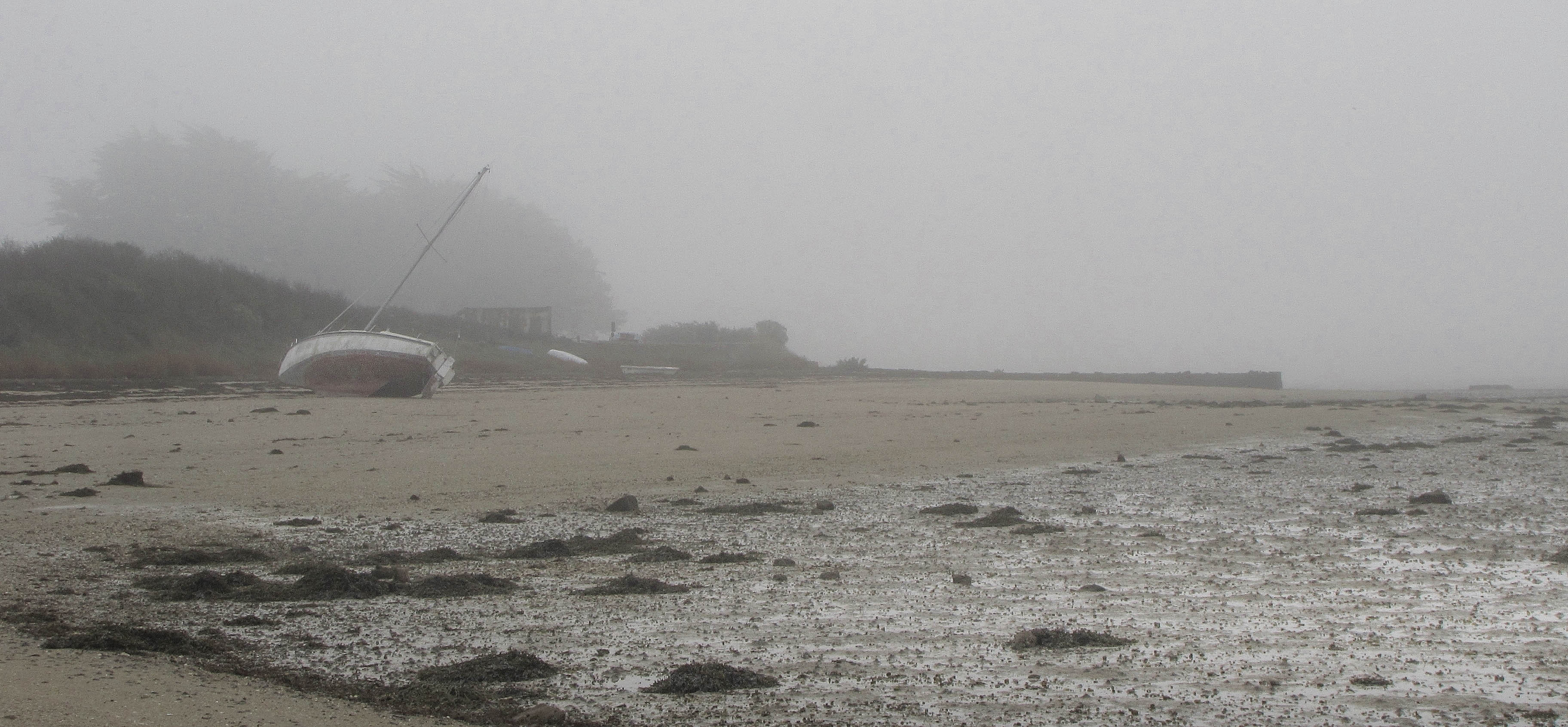 épave dans la brume, 2 nov 17 (1 sur 1).jpg