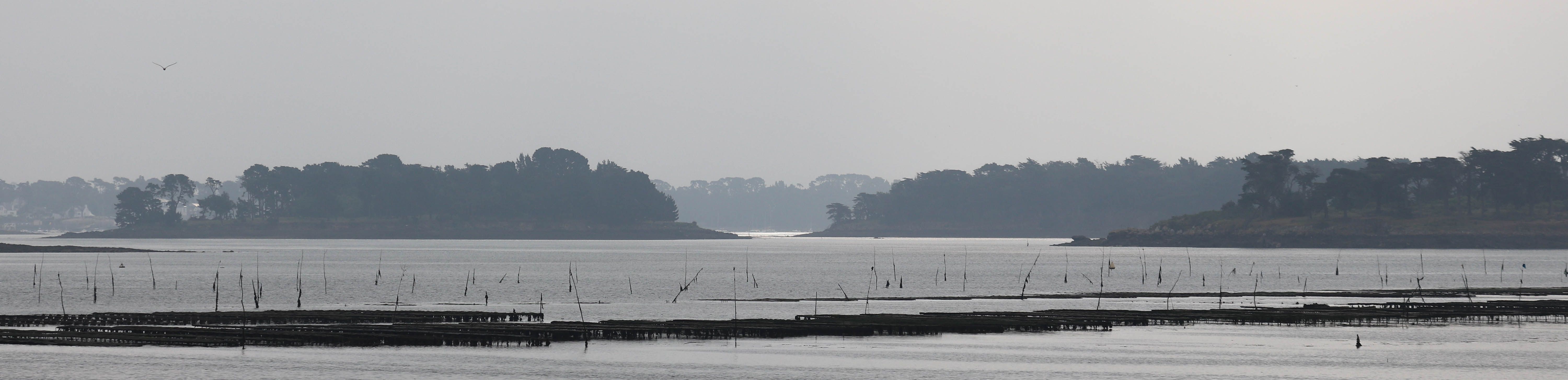 3 îles, Rivière d'Auray, 9 juin 18 (1 sur 1)
