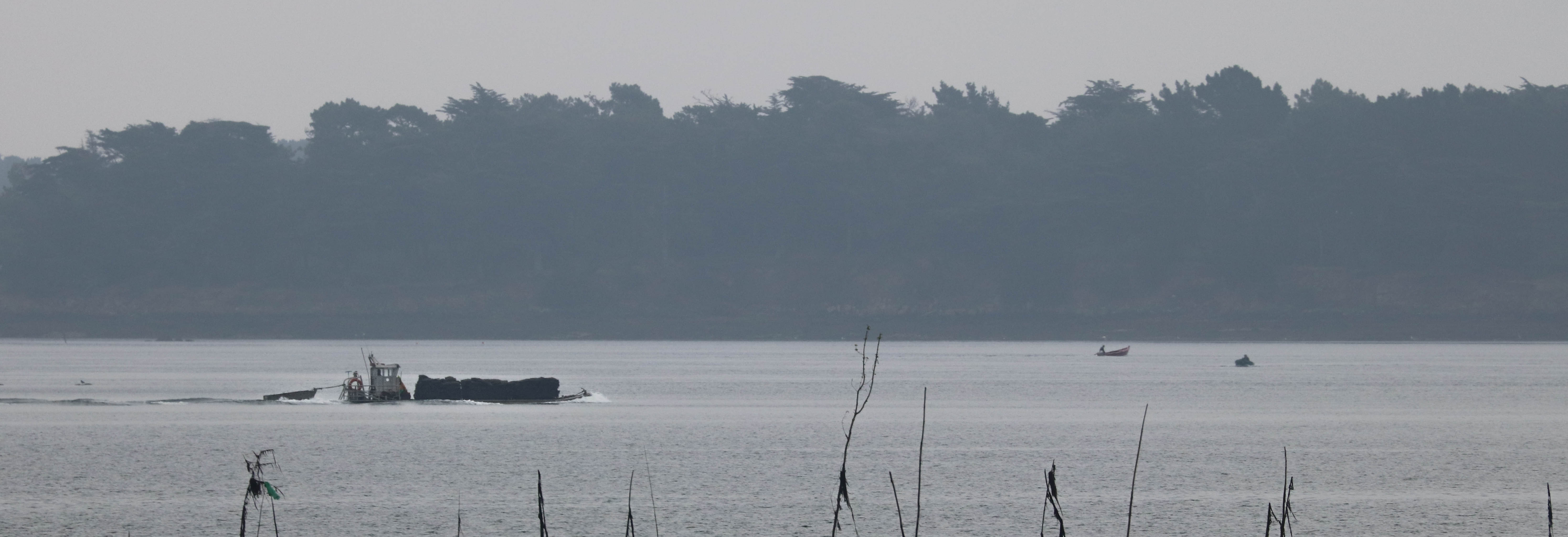 Barge devant Grand Veïzit, Rivière d'Auray,  9 juin 18 (1 sur 1).jpg