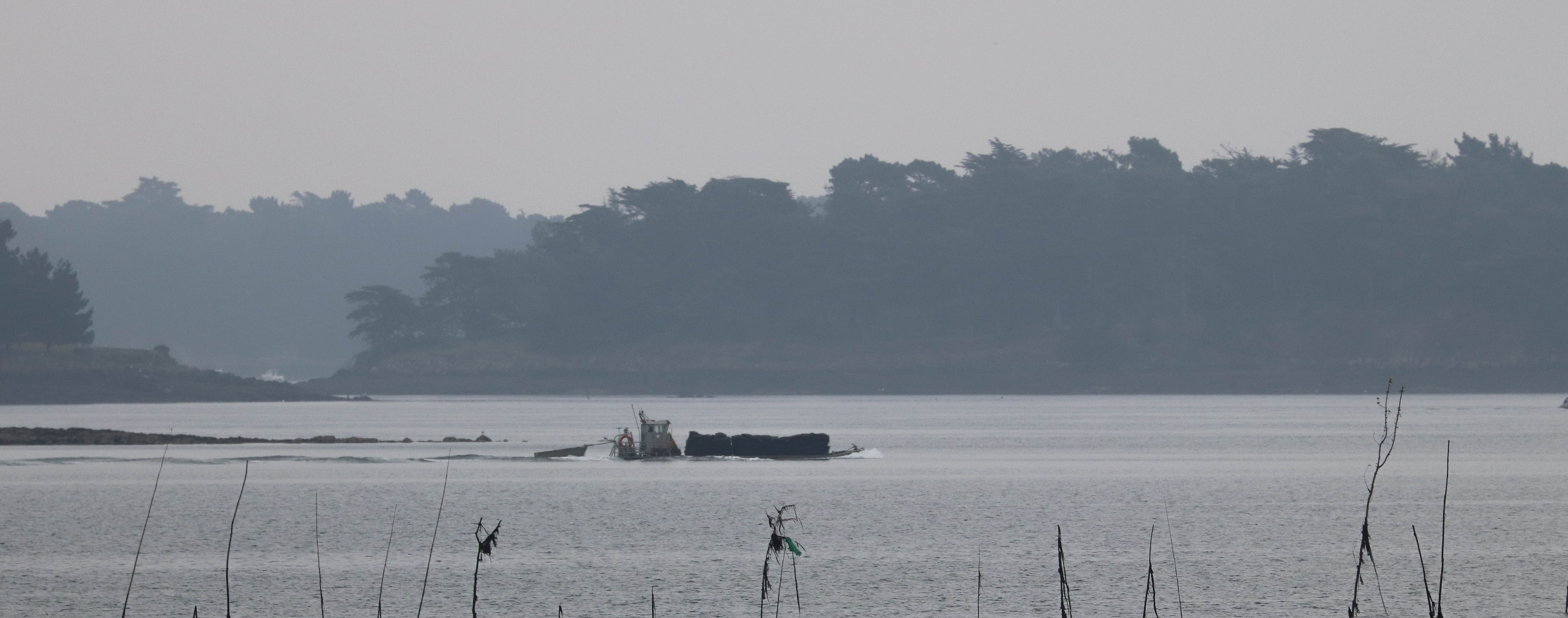 barge devant Radenec,  Rivière d'Auray,  9 juin 18 (1 sur 1).jpg