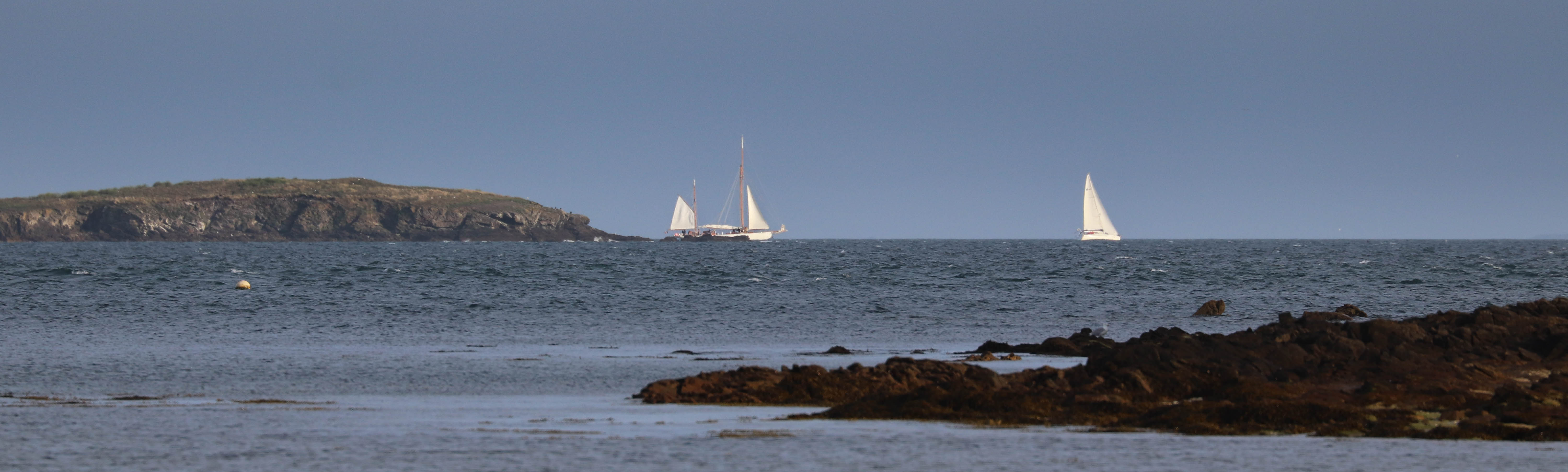 Etoile Polaire derrière méaban,14 juin 18, vers 19h (1 sur 1)