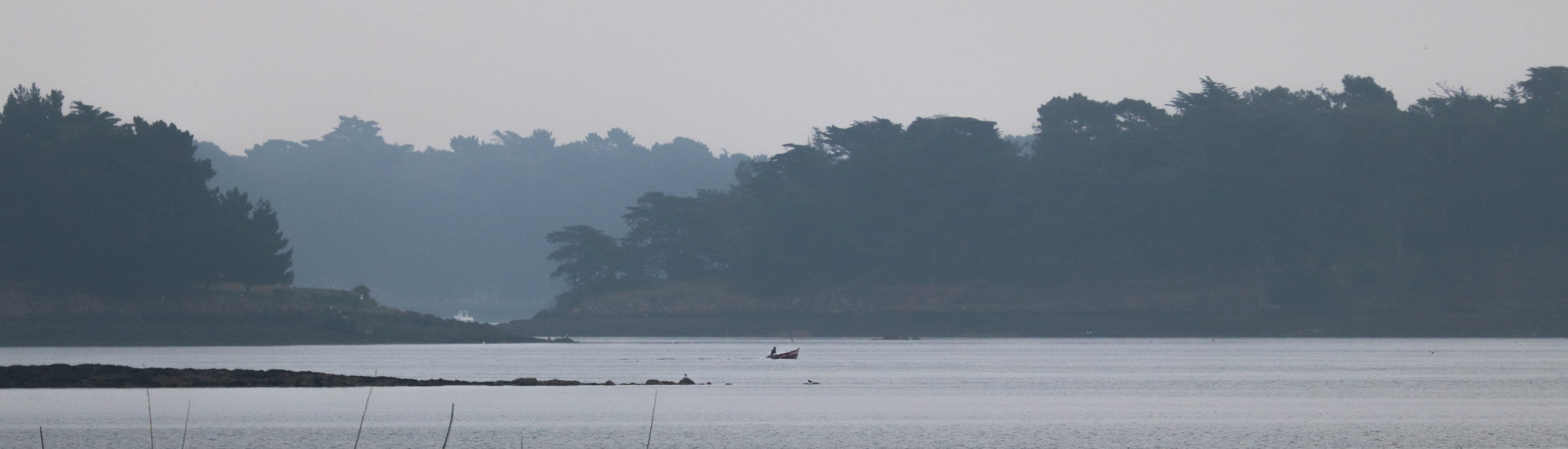 plate devant Radenec et l'Île Longue,  Rivière d'Auray,  9 juin 18 (1 sur 1).jpg