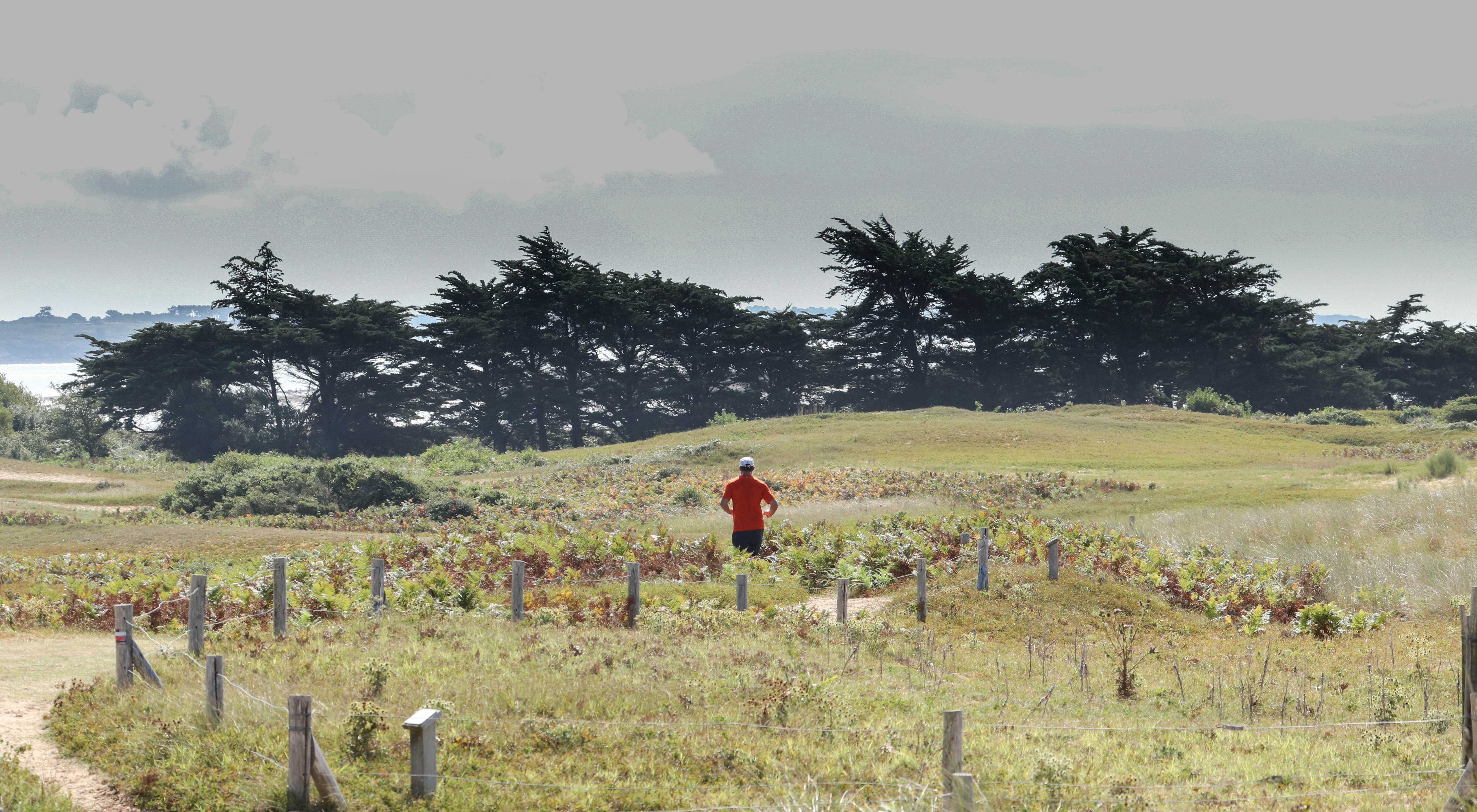 coureur, st pierre, 13 août 18, 10h47 (1 sur 1).jpg