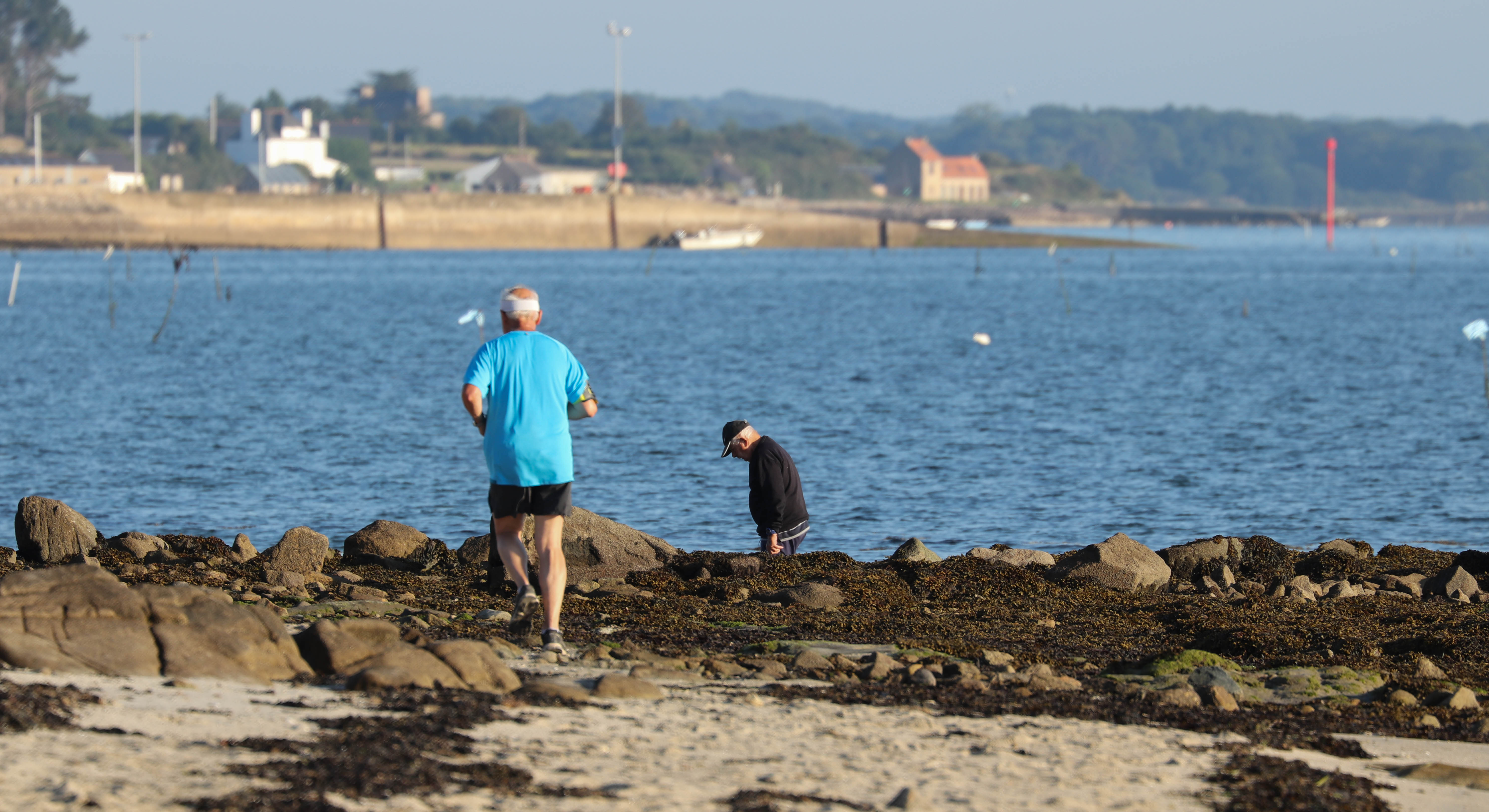Coureur,er hroueg , locmariaquer, 5 août 18, 7h24 (1 sur 1).jpg