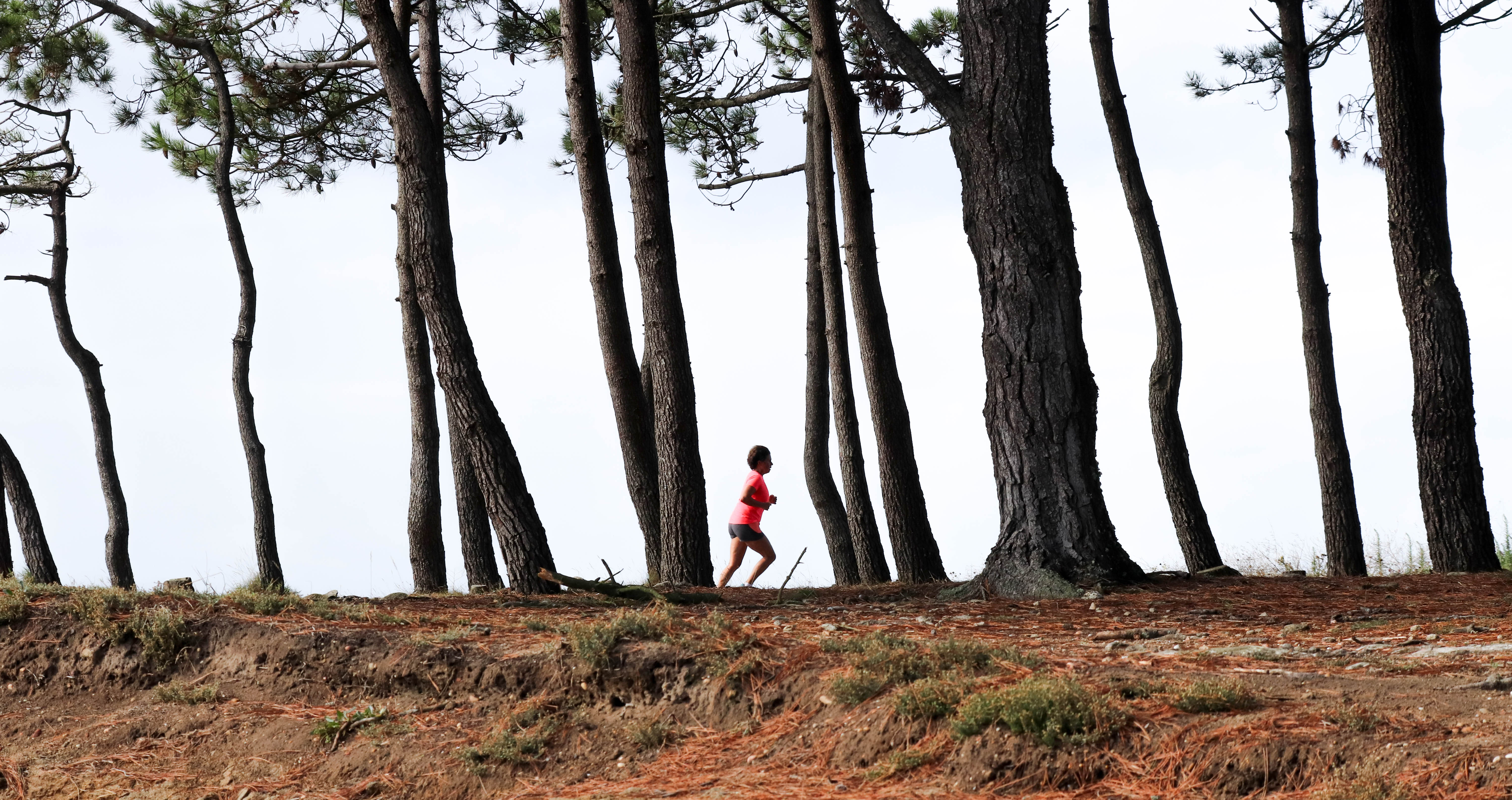 coureuse, er hourèl, 13 août 18, 9h53 (1 sur 1).jpg