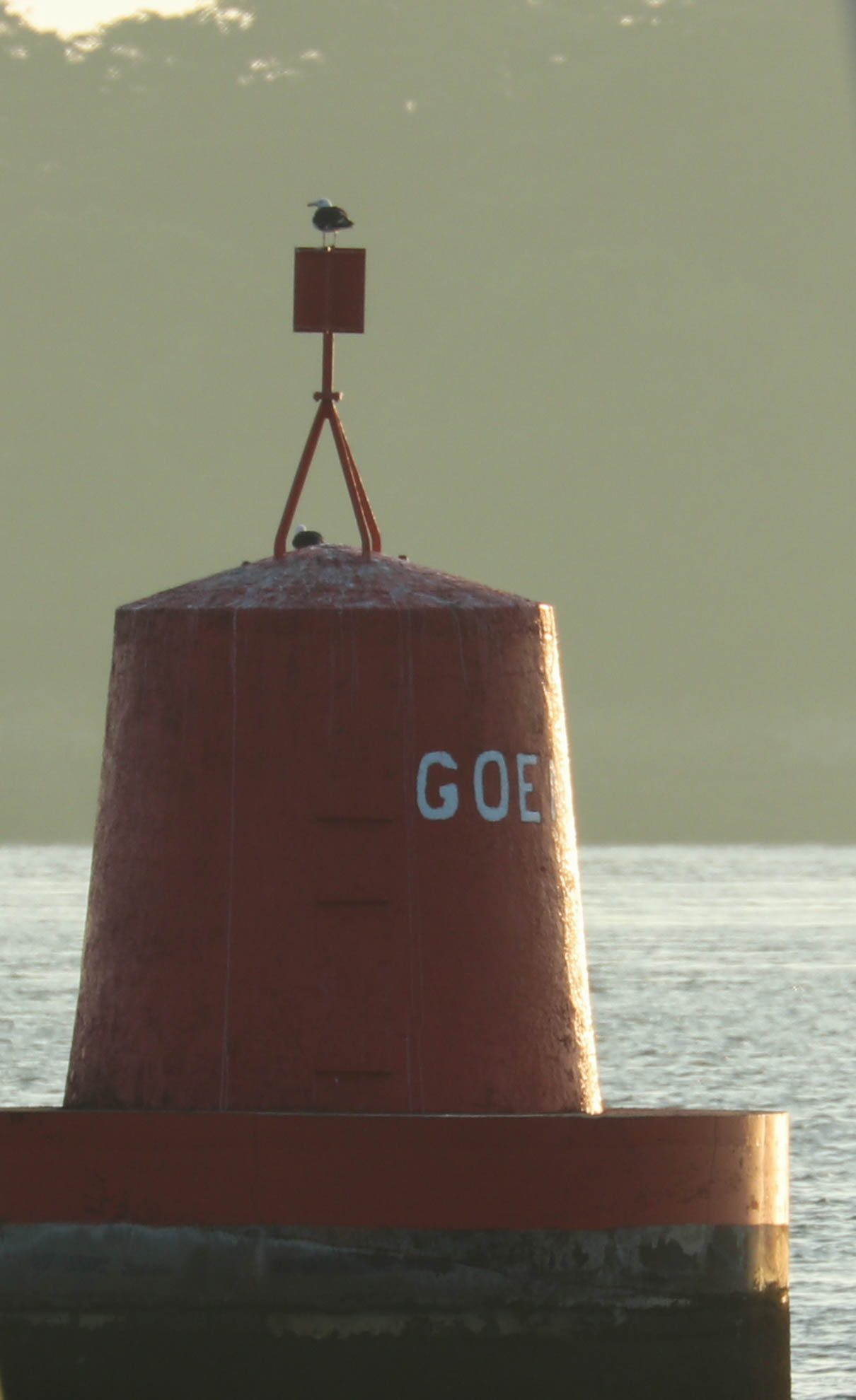 goemoren, 5 août 18, 6h42 (1 sur 1)