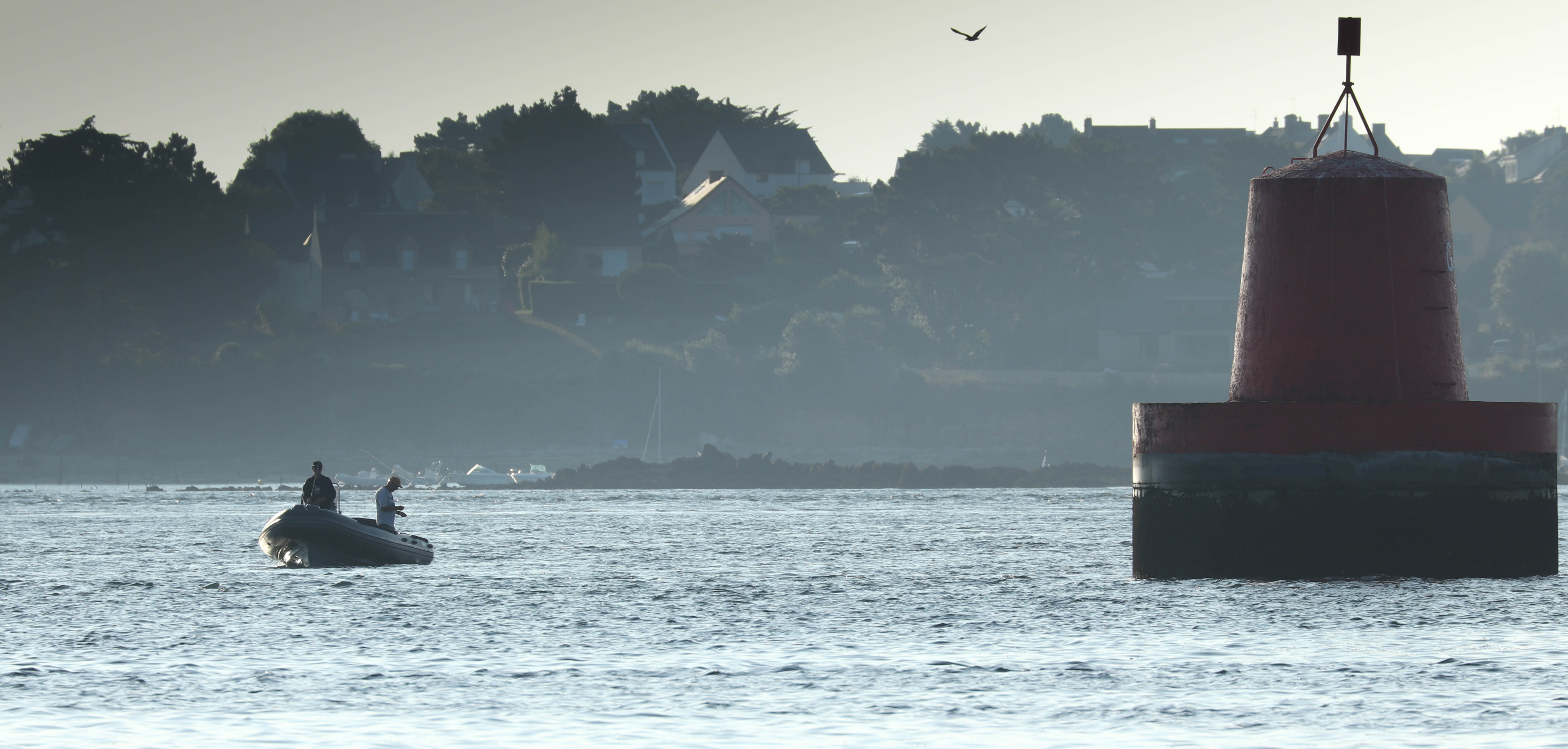 goemoren, 5 août 18, 7h28-29 (1 sur 1).jpg