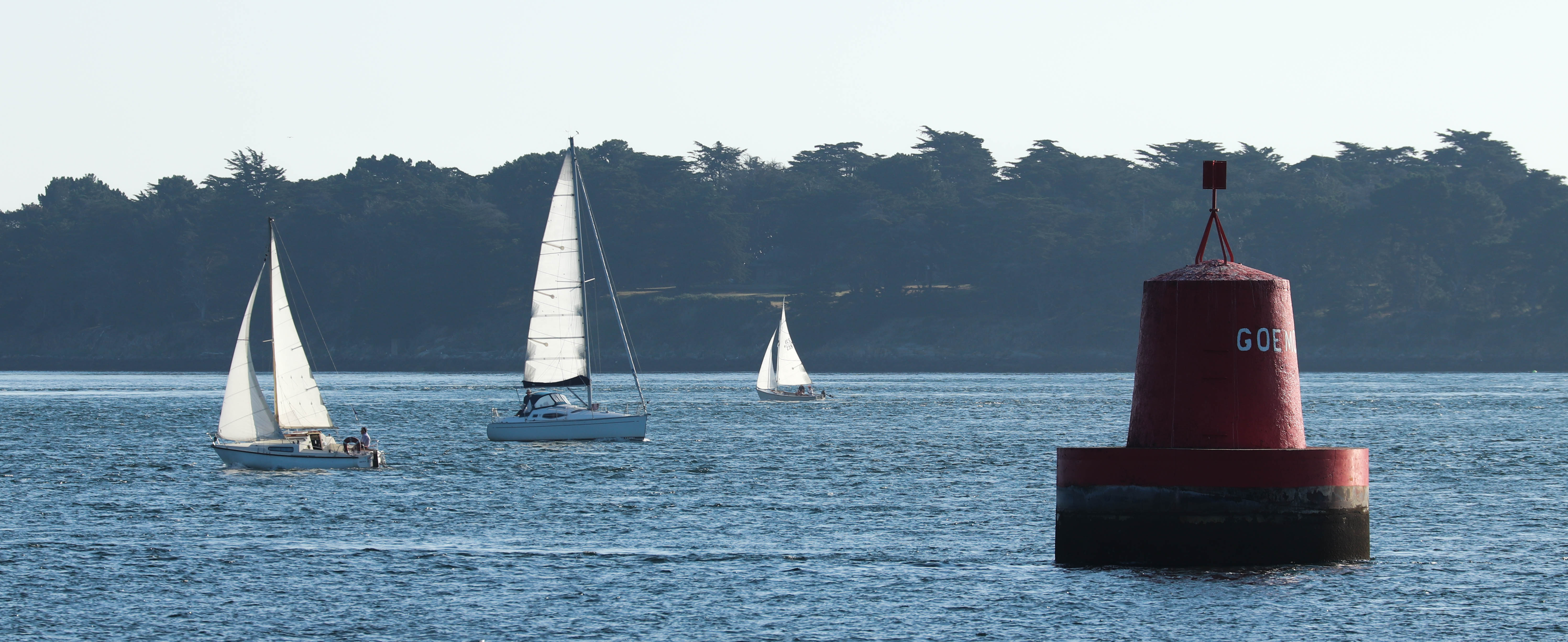 goemoren, 5 août 18, 8h06 (1 sur 1).jpg