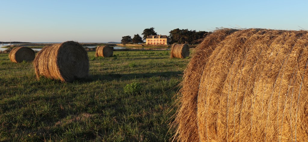 le manoir rouge, brennegi, 2 août 18, vers 7h (2 sur 4).jpg