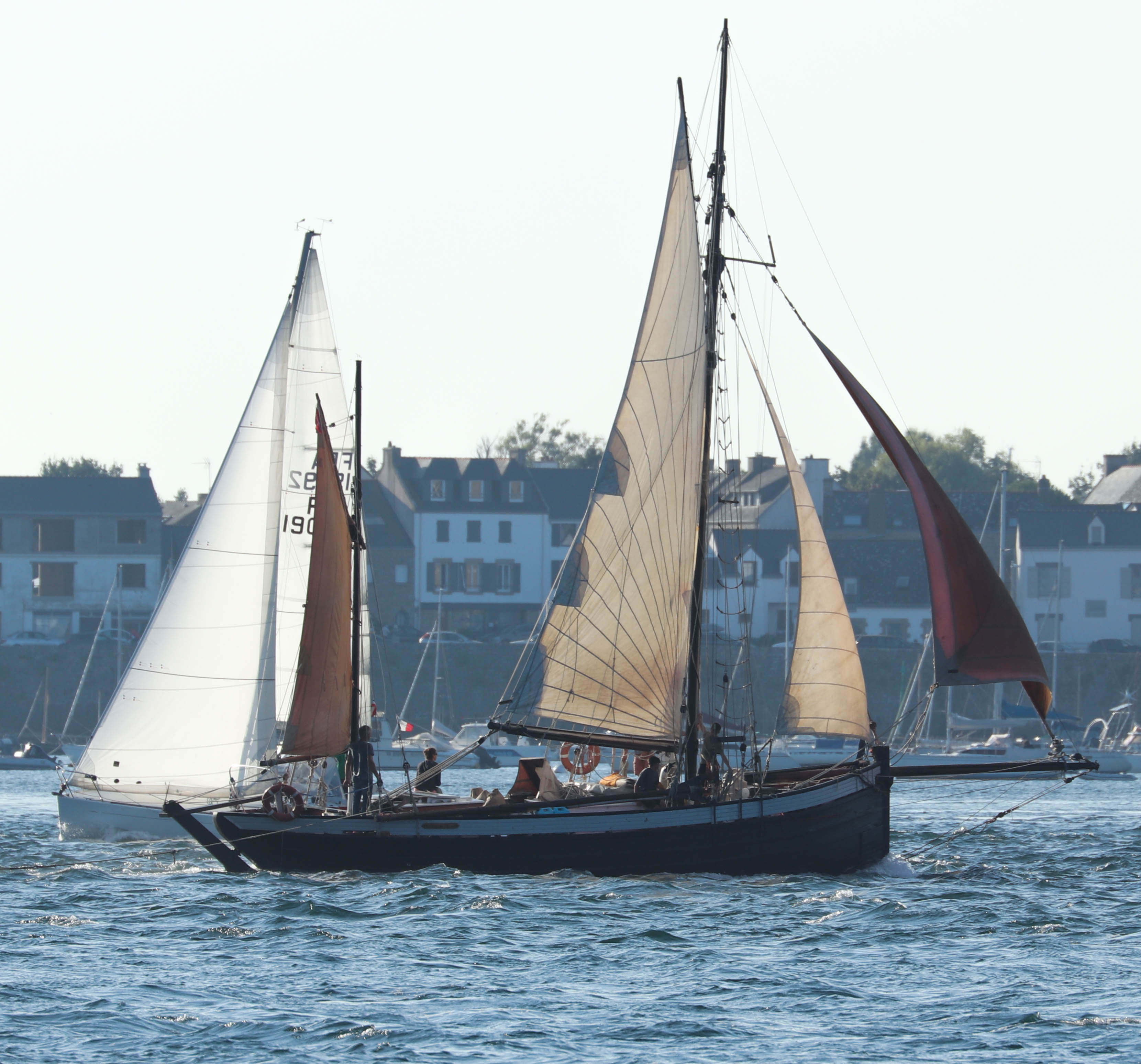 leenan head sort du golfe, 5 août 18, 8h01 (1 sur 1).jpg