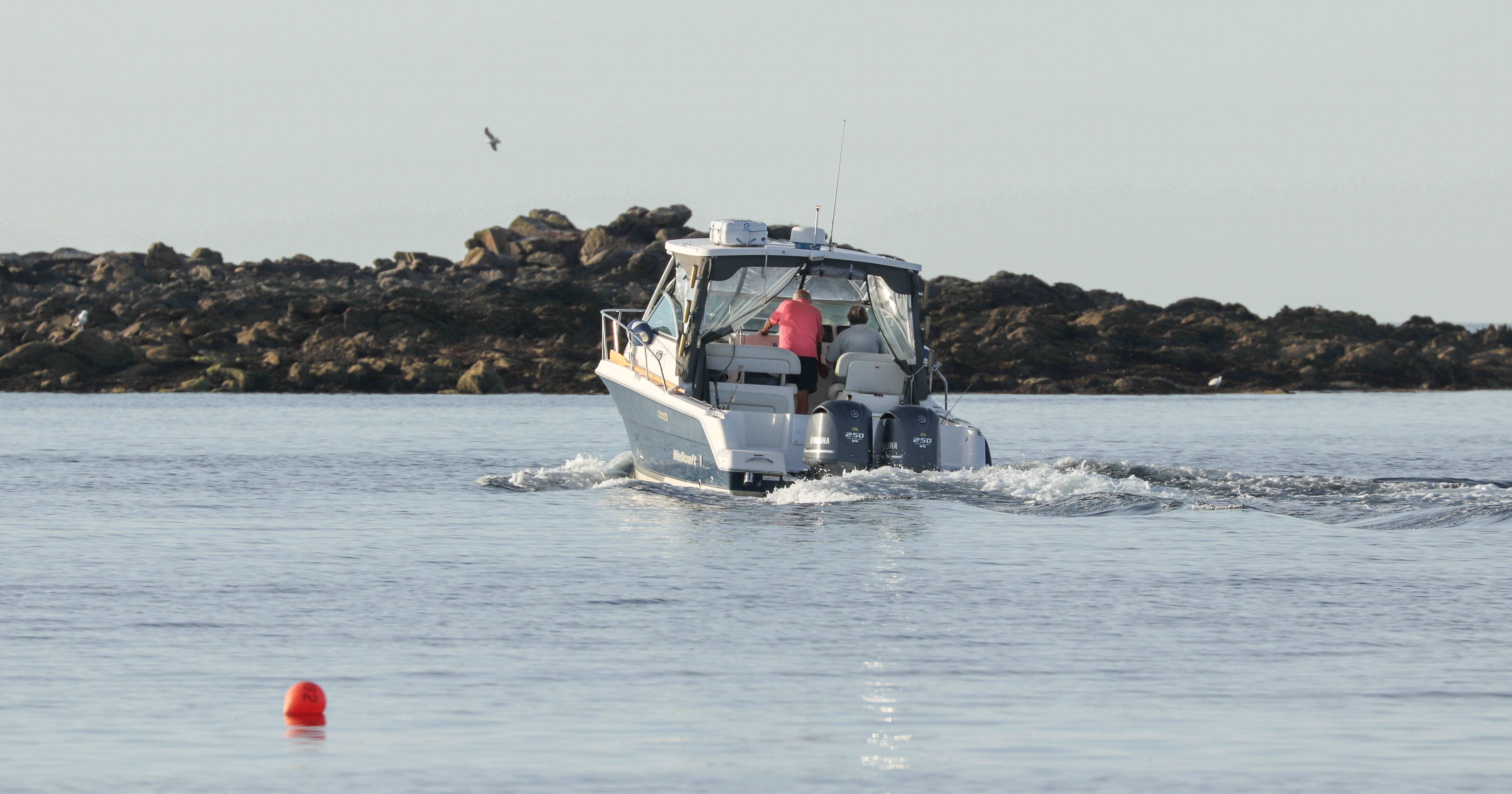 500 chevaux au cul, la trin, 6 août 18, 8h18 (1 sur 1).jpg