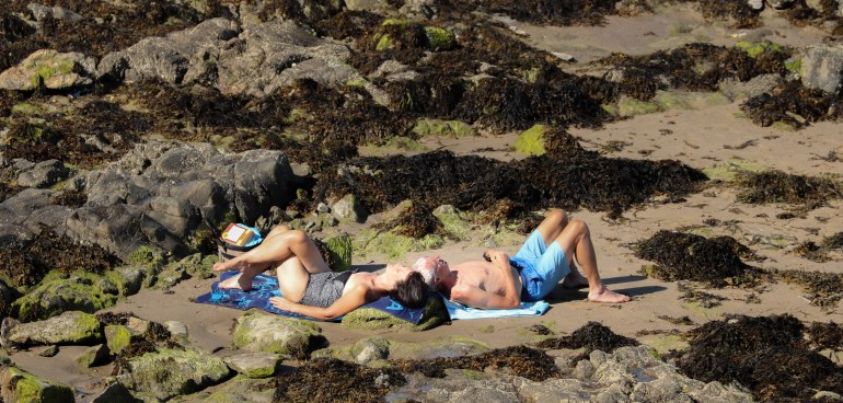 simone n'est pas morte, barbe brulée, 2 sept 18, 15h21 (1 sur 1).jpg