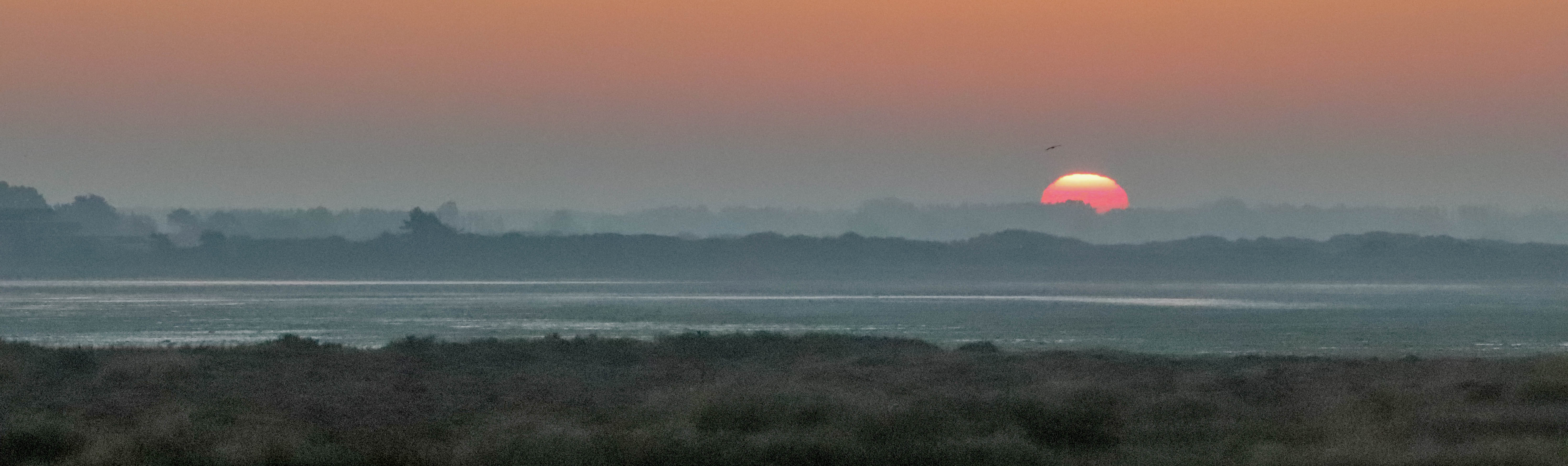  au bout de la Petite mer de Gâvres, 21 oct 18, 7h43-00 (1 sur 1).jpg