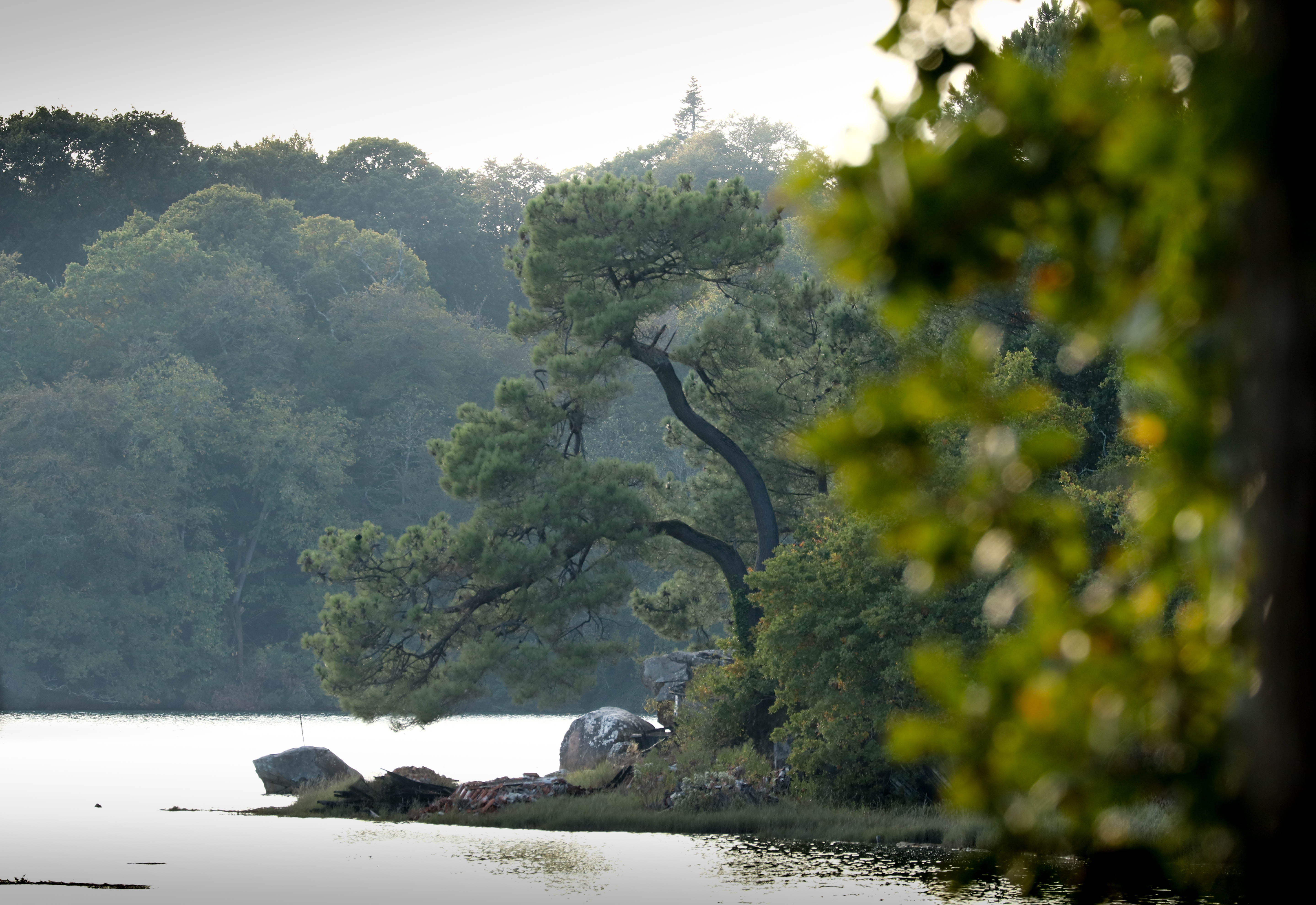 Pointe de Kerisper, rivière d'auray, 10 oct 18, 17h20 (1 sur 1)