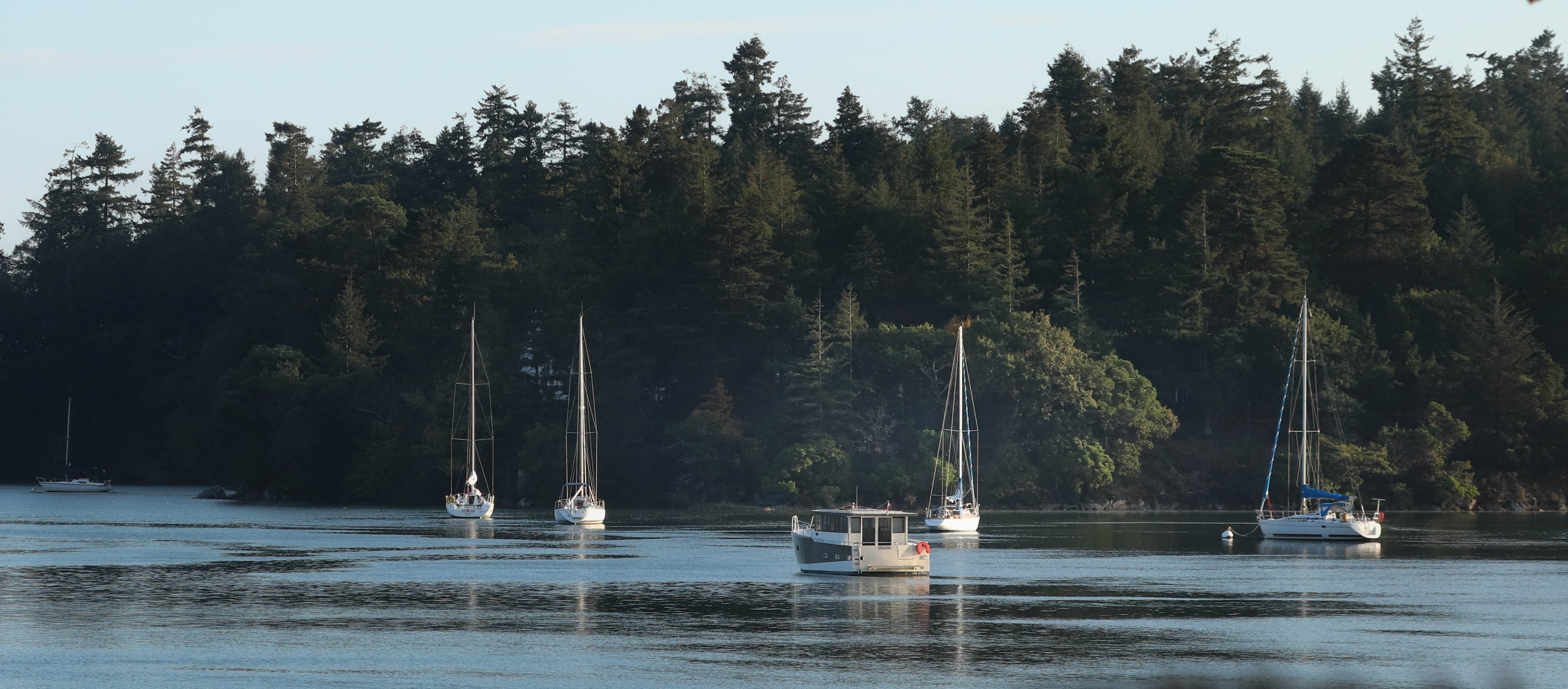 Pointe de Kerisper, rivière d'auray, 10 oct 18, 17h22 (1 sur 1).jpg