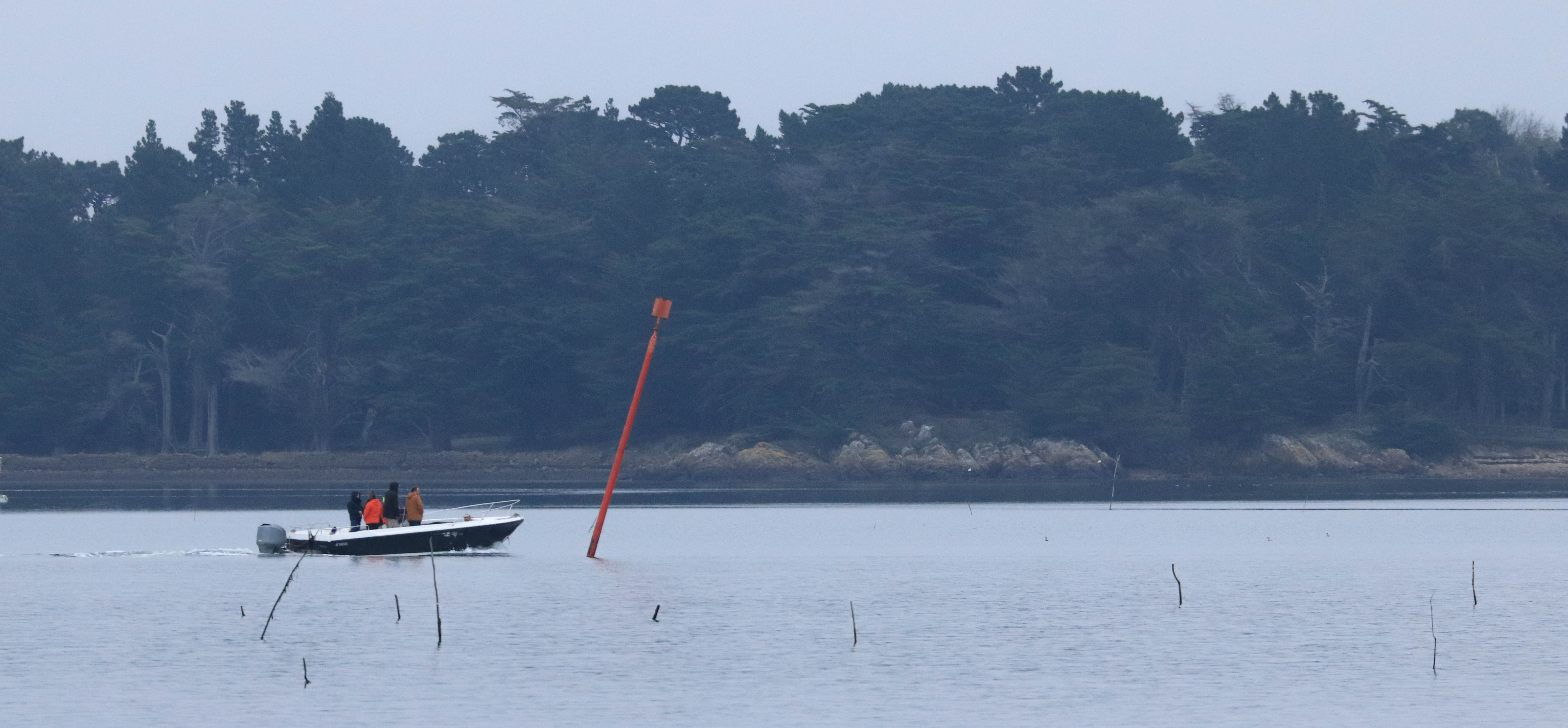 baie de st philibert, 30 déc 18, 12h23 (1 sur 1).jpg