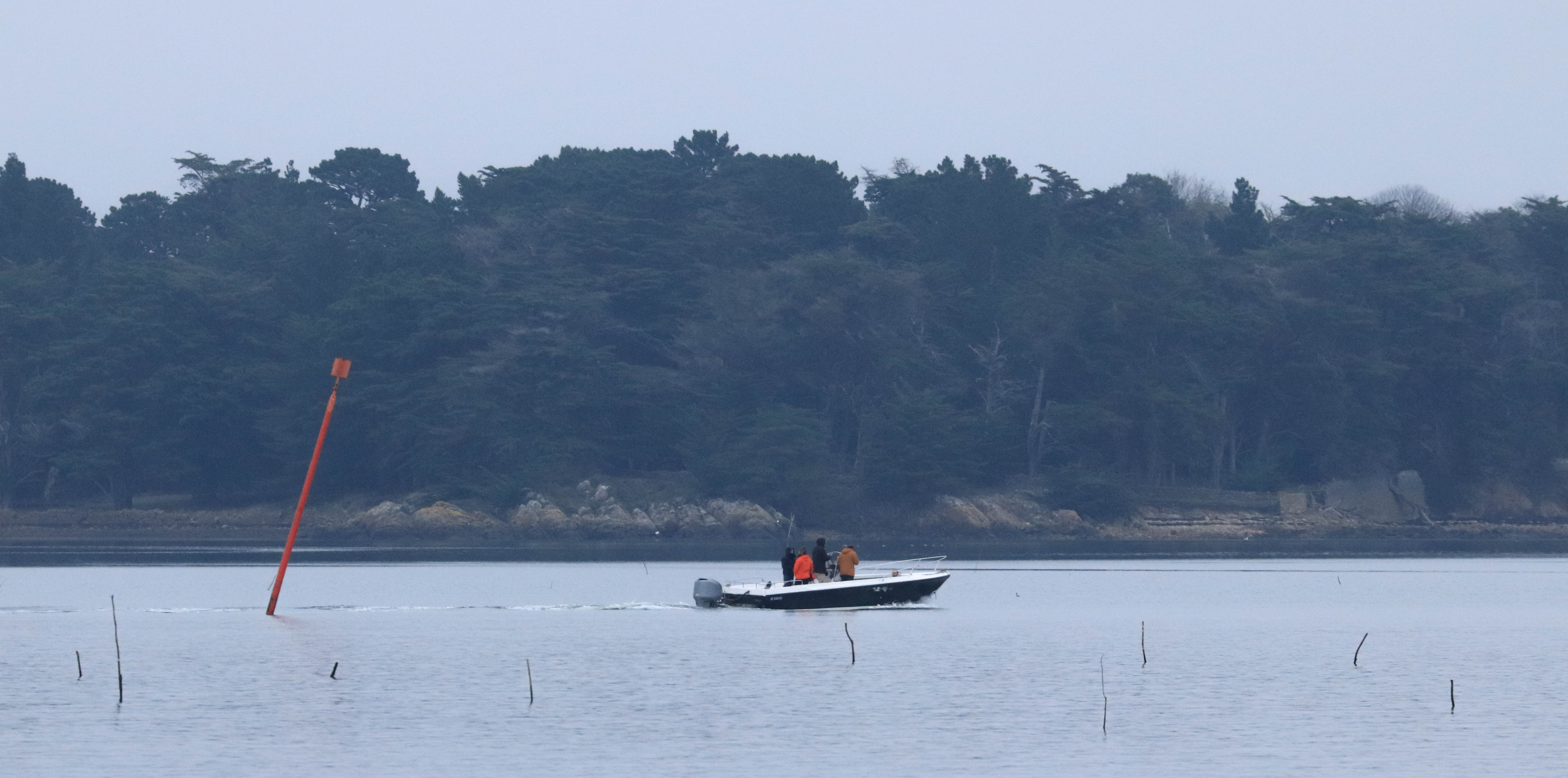 baie de st philibert, 30 déc 18, 12h23-18 (1 sur 1)