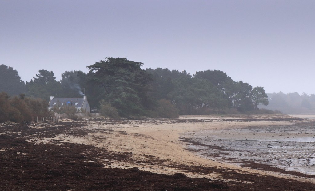 Brennegi, 27 déc.18 (1 sur 1).jpg