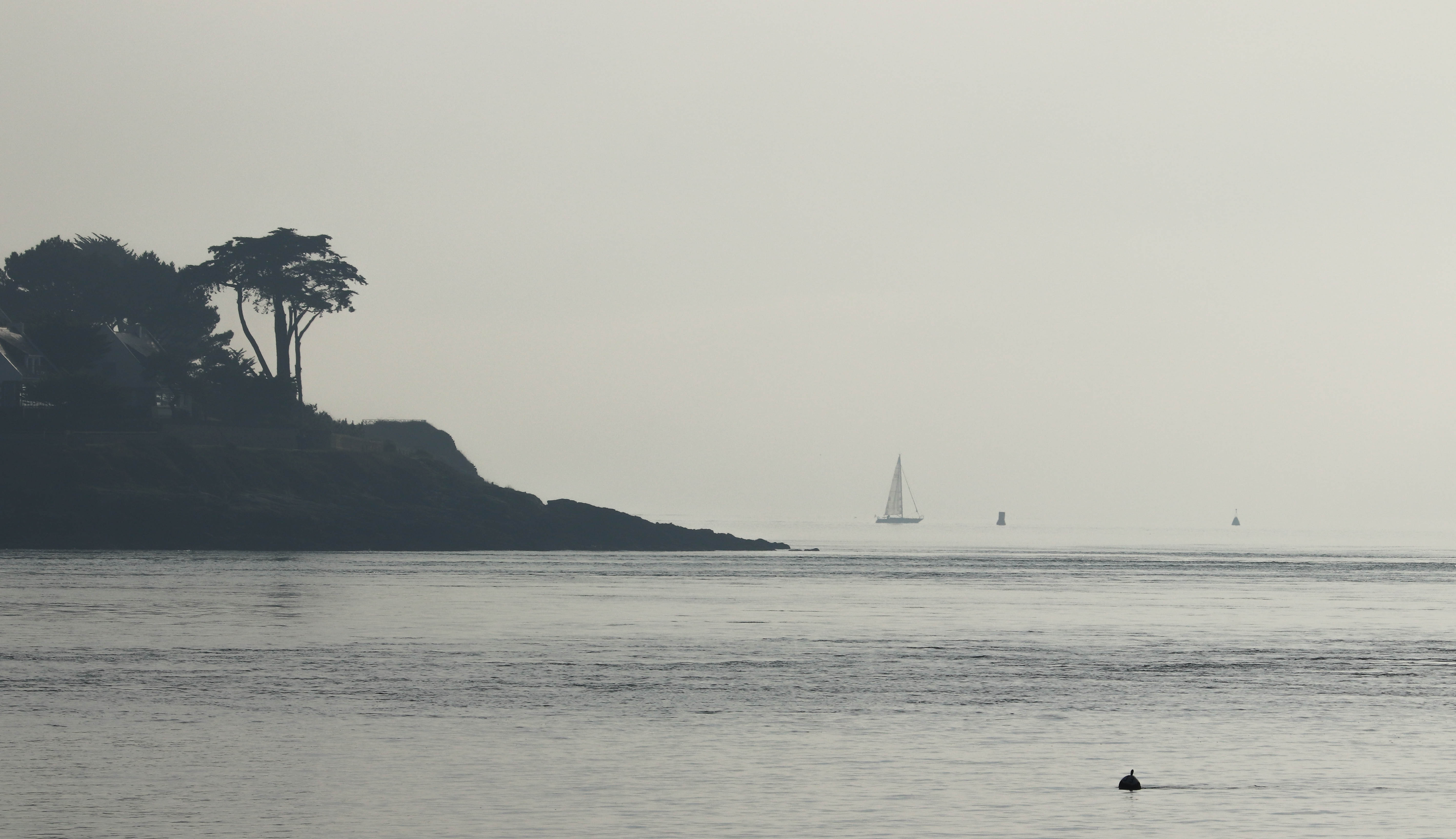 entrée du Golfe, 28 déc 18, 12h50 (1 sur 1).jpg