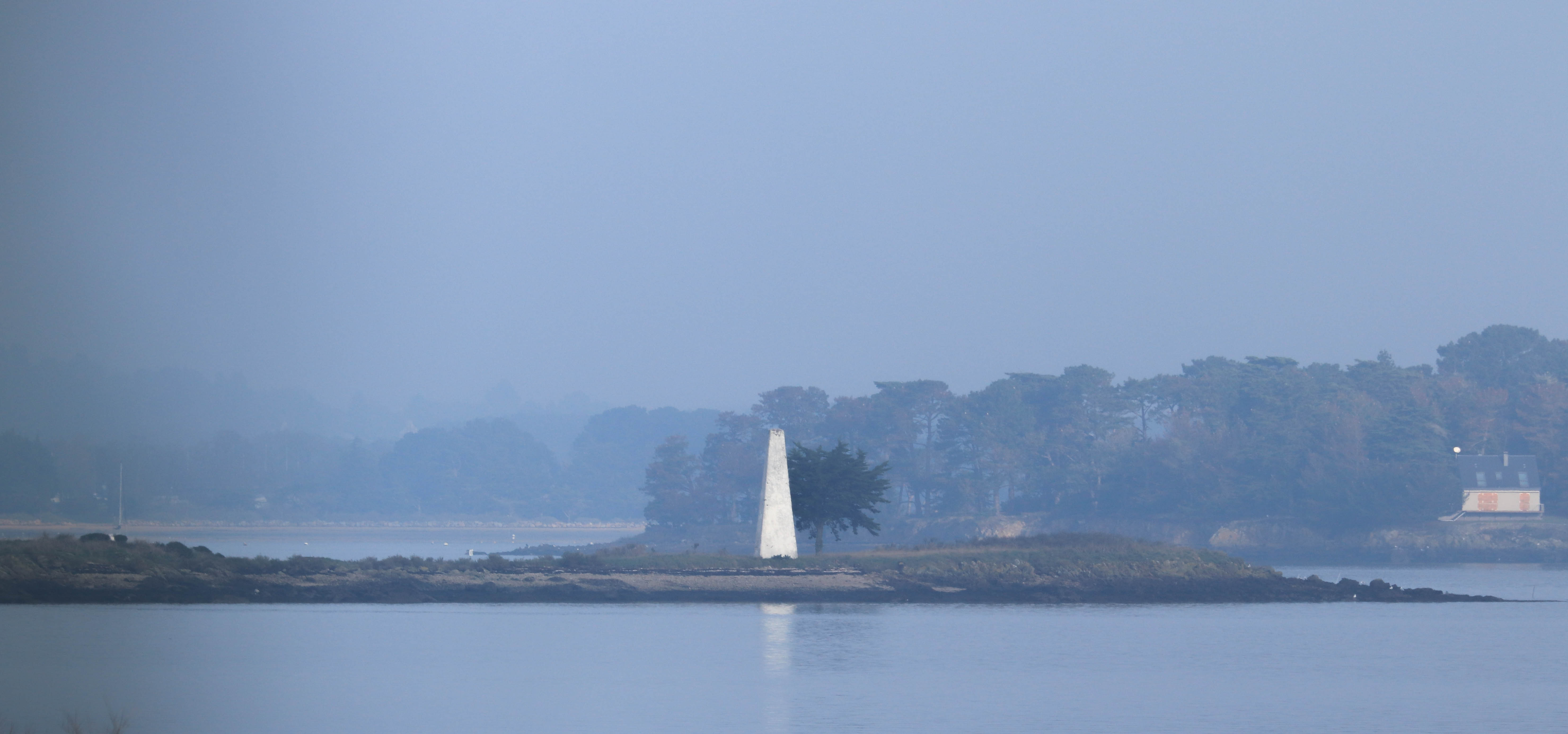 le petit veizït, 28 déc.18, 12h29 (1 sur 1)