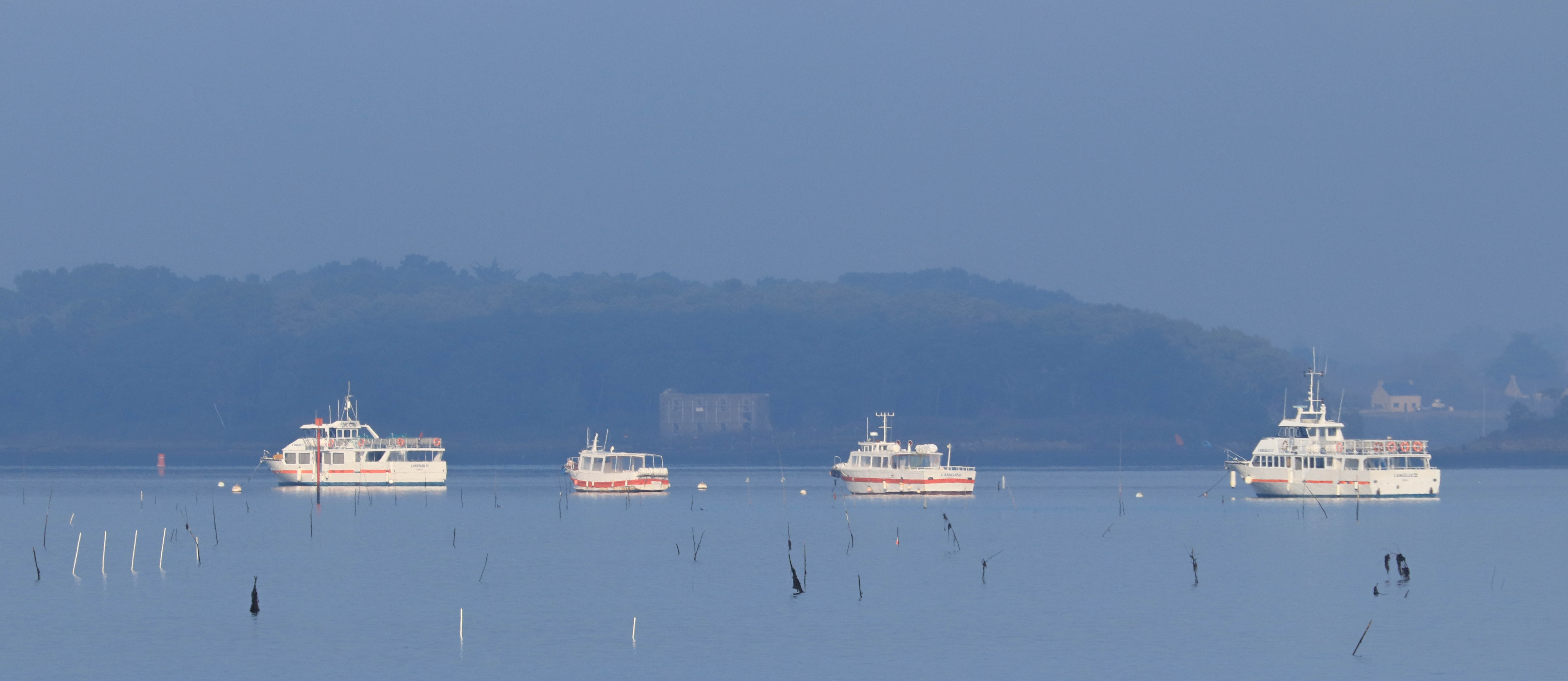 navix, baie de locmariaquer28 déc 18, 12h36 (1 sur 1)