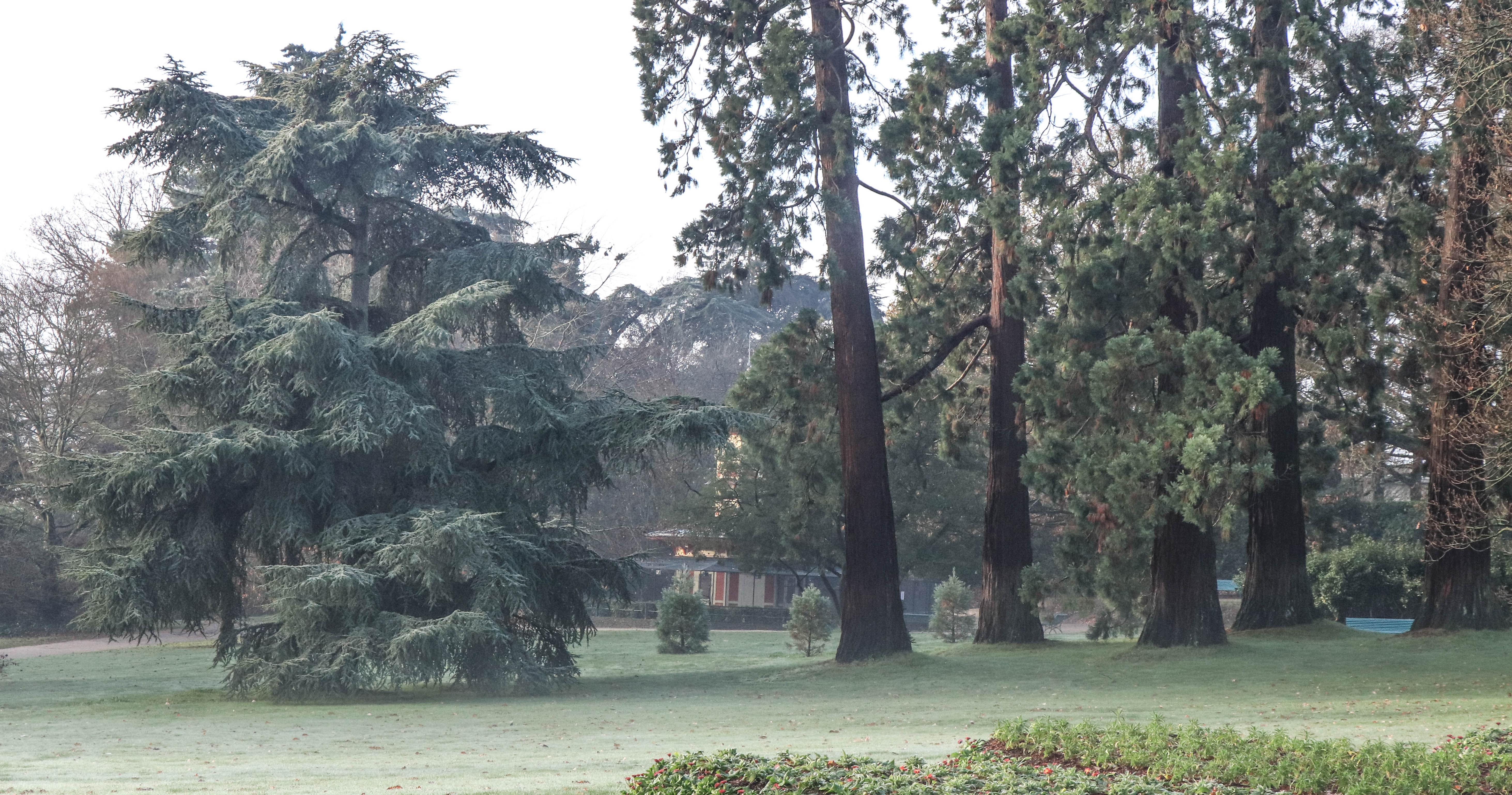 parc du Thabor, rennes, 16 déc.18, 10h18 (1 sur 1).jpg