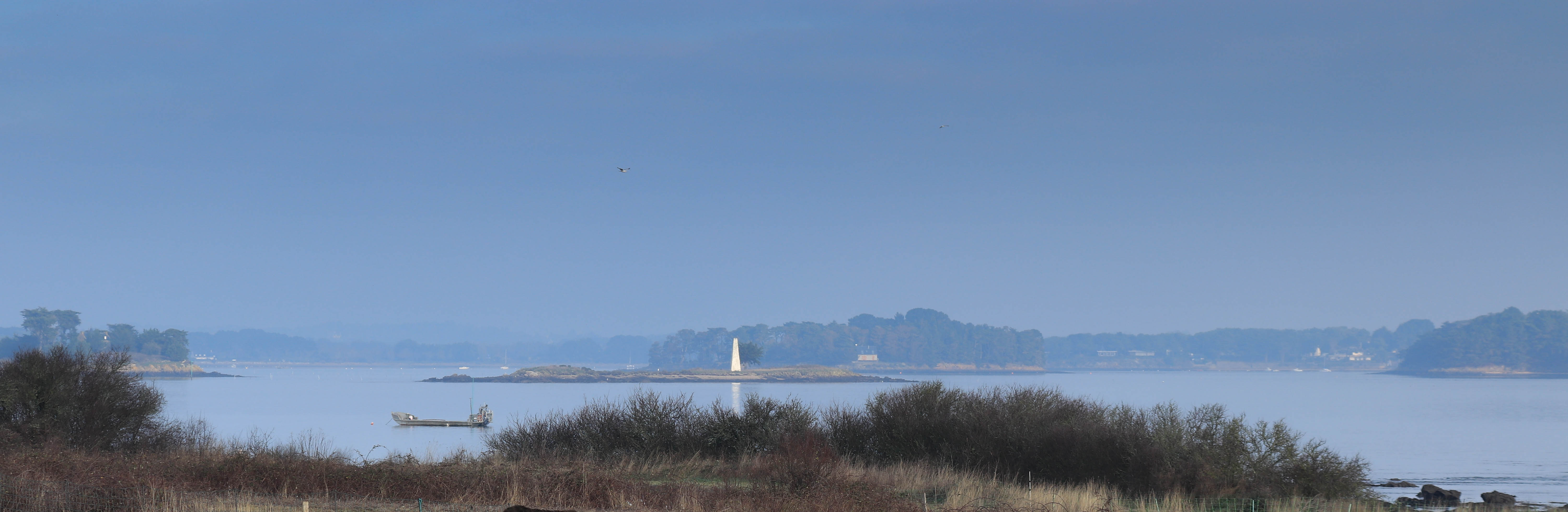  Petit Veizït à la barge, 28 déc.18, 12h31-46 (1 sur 1).jpg