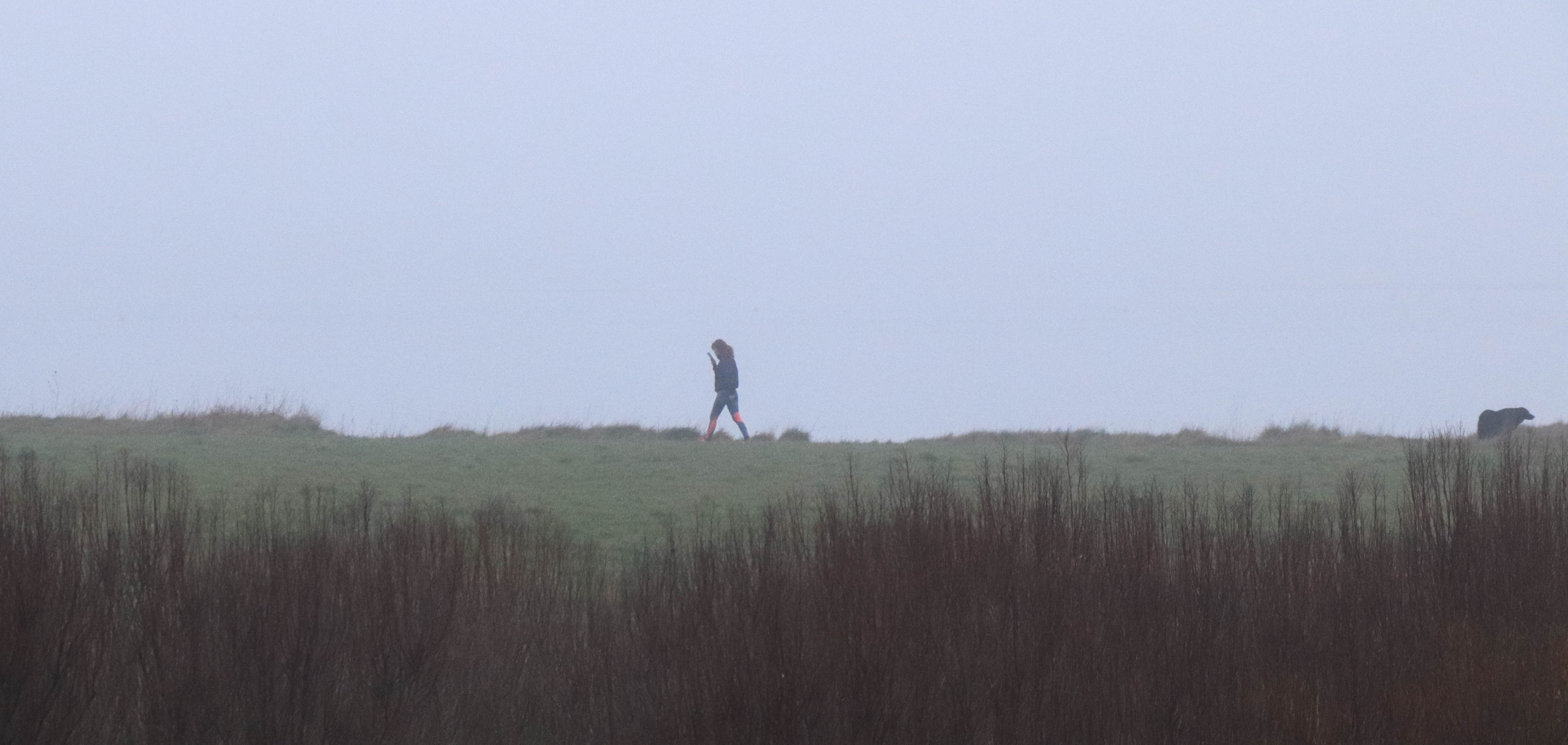 promeuse joggeuse et ses chiens, pointe er long, 27 déc.18 (1 sur 1)