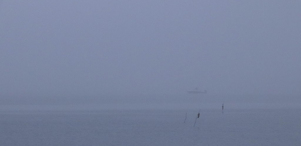 pêcheurs, 27 déc.18 (1 sur 1).jpg