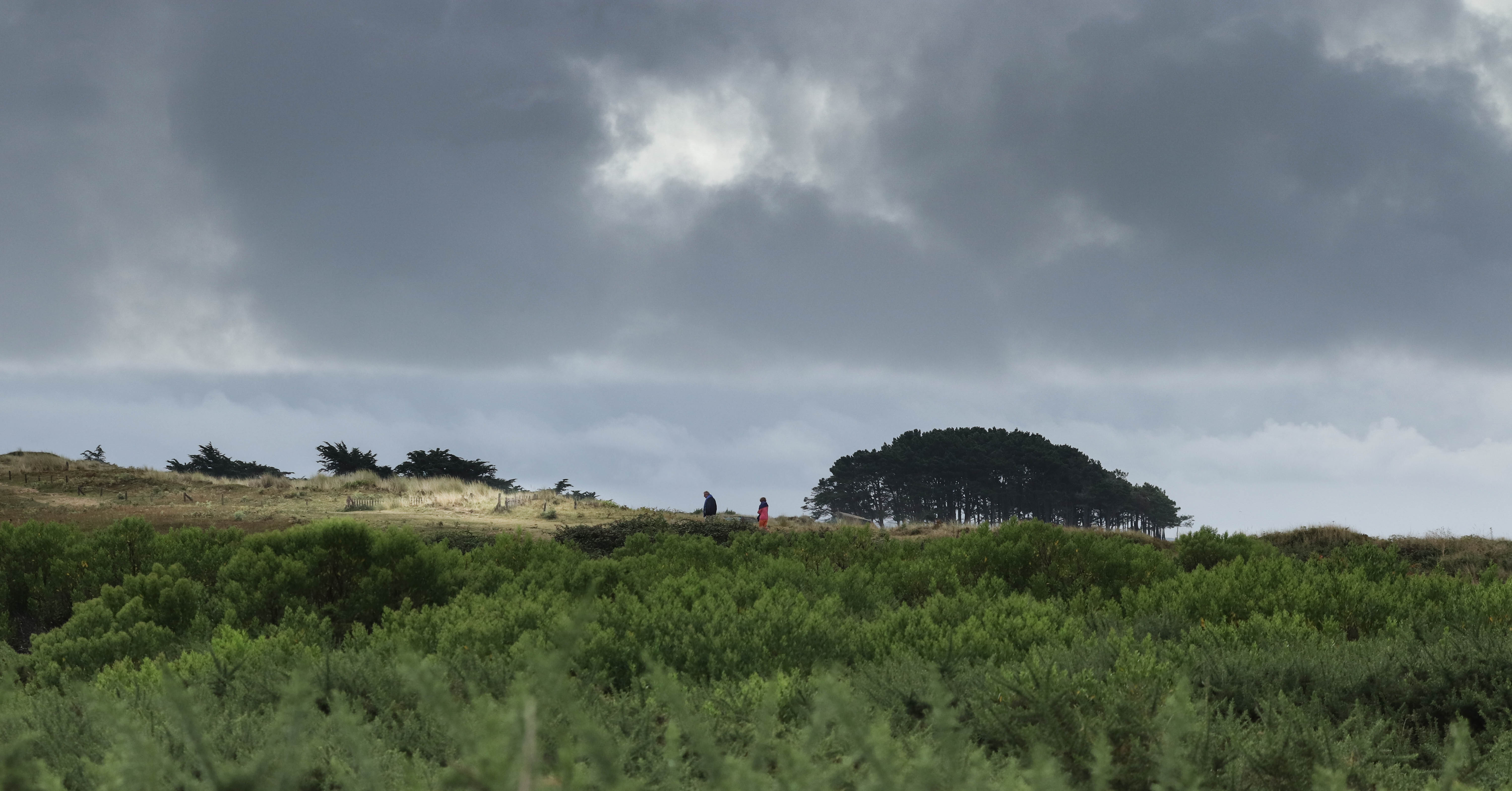 sur la dune, st pierre, 13 août 18, 7h56 (1 sur 1).jpg