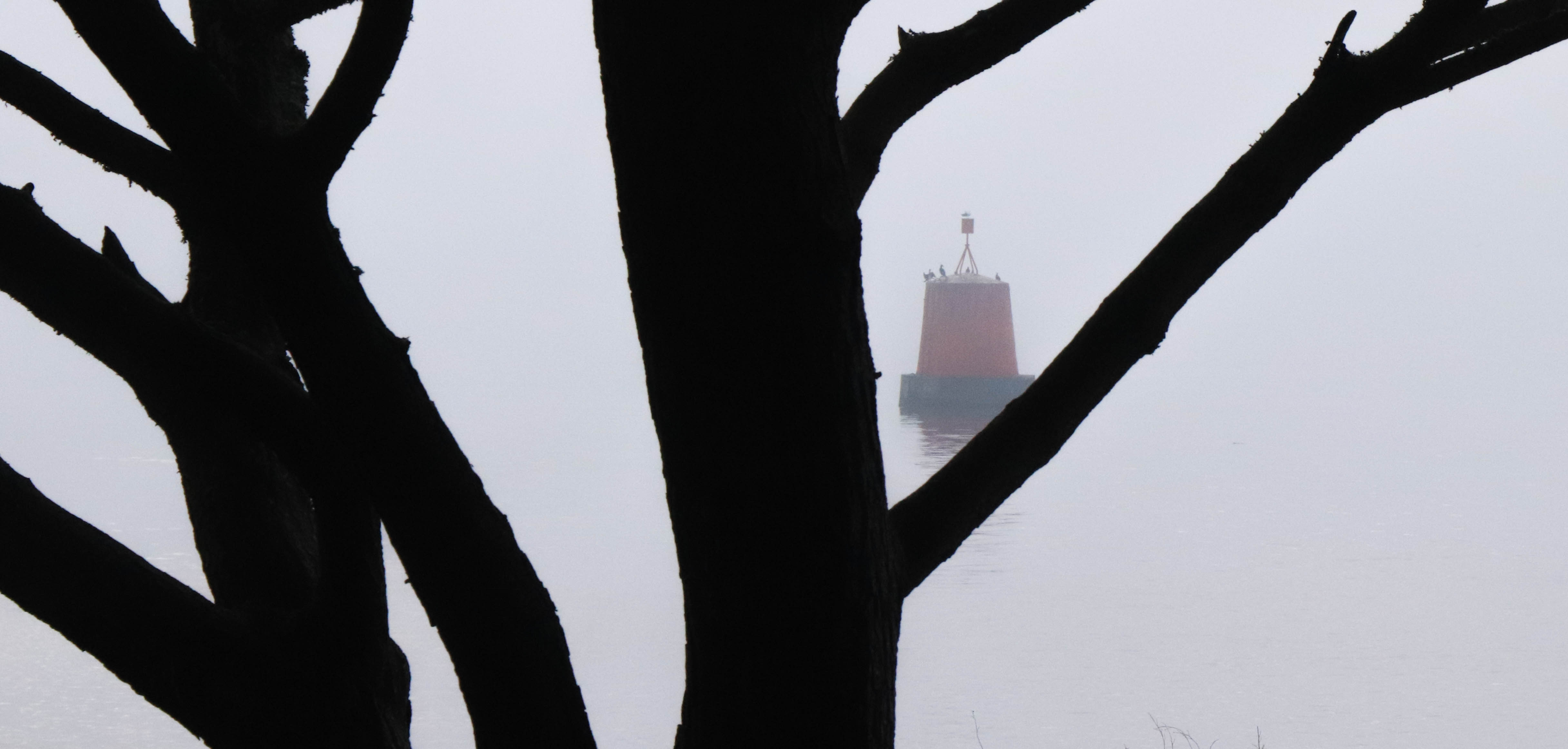 tourelle de Kerpenhir, 28 déc.18, 10h51 (1 sur 1).jpg