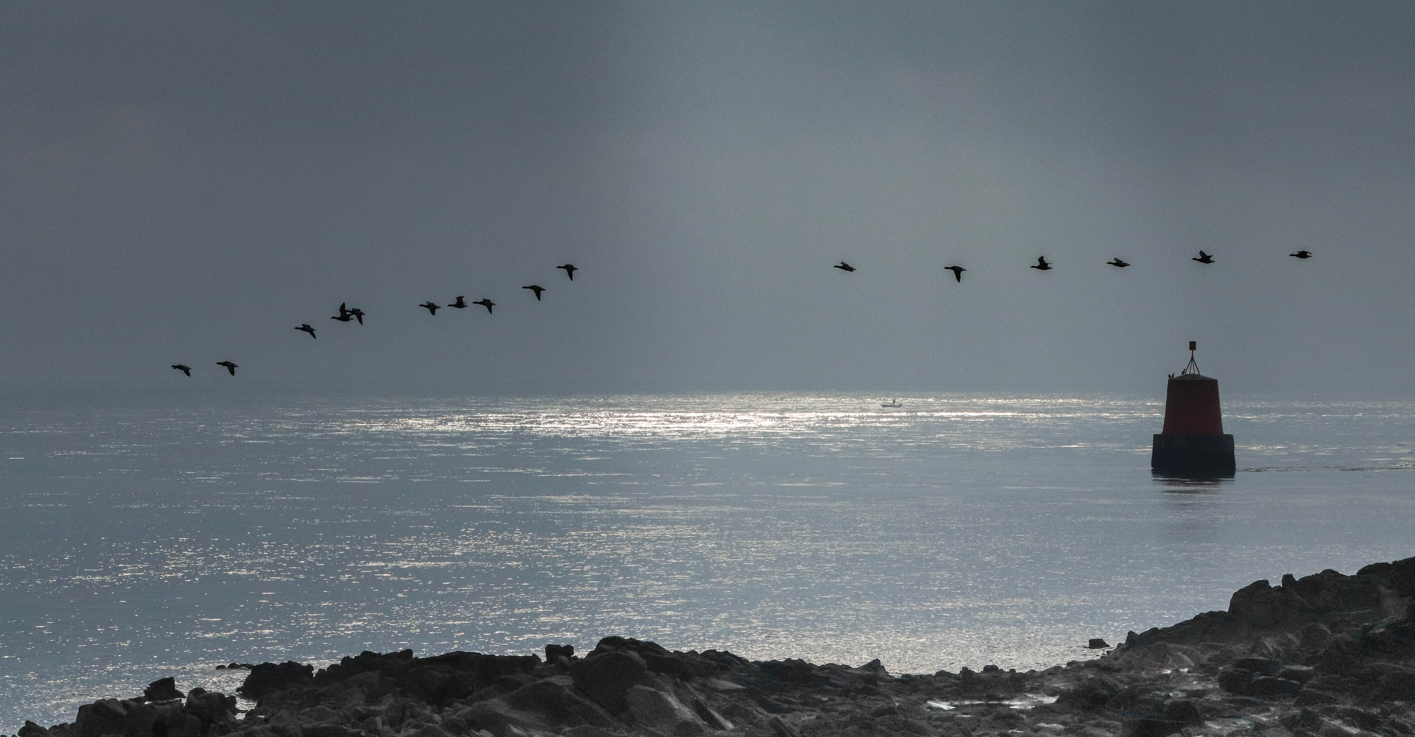 tourelle de Kerpenhir, 28 déc.18, 12h16-37 (1 sur 1).jpg