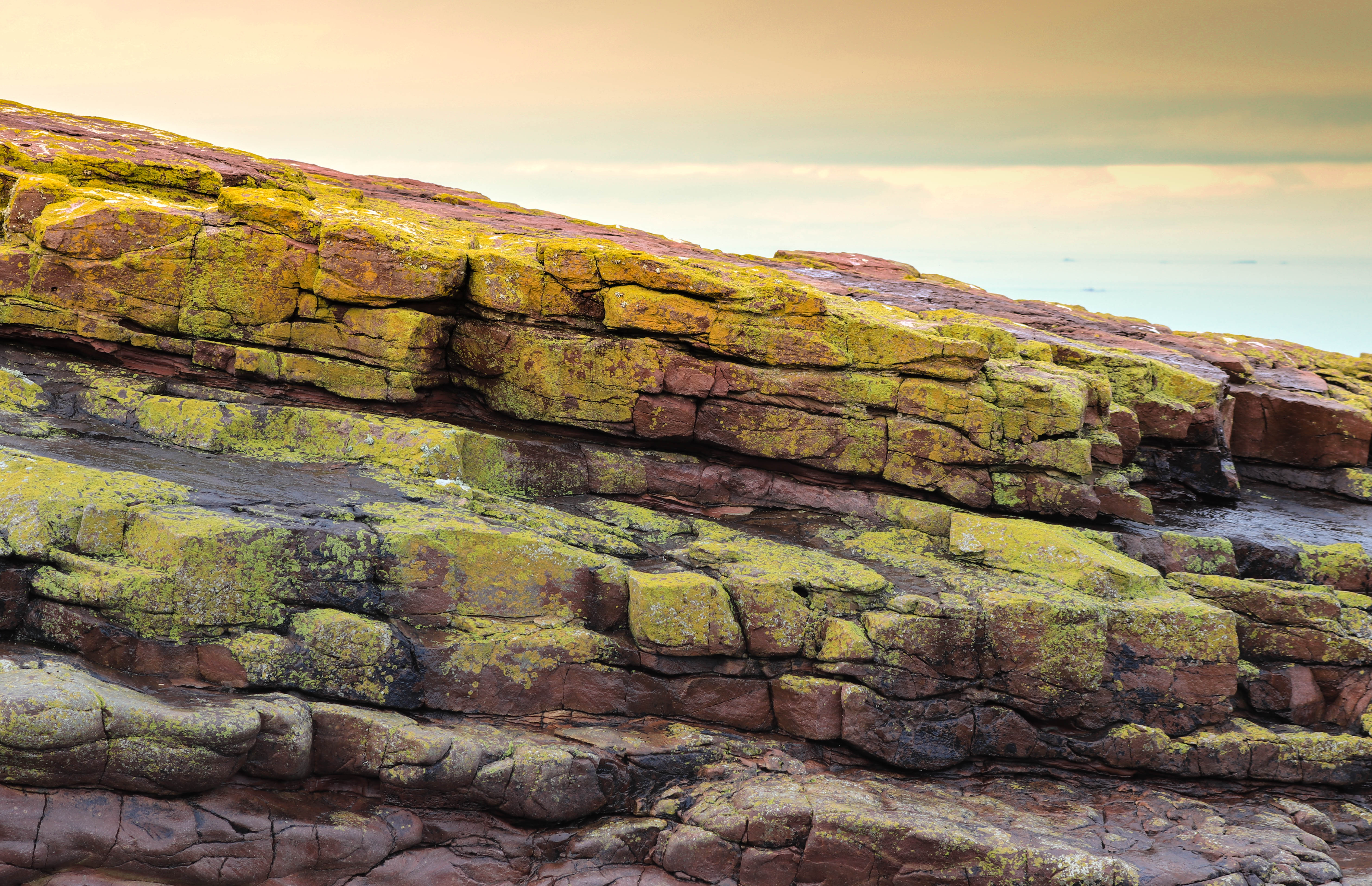 houses of the holly, 6 fevr 19, 12h47-08.jpg